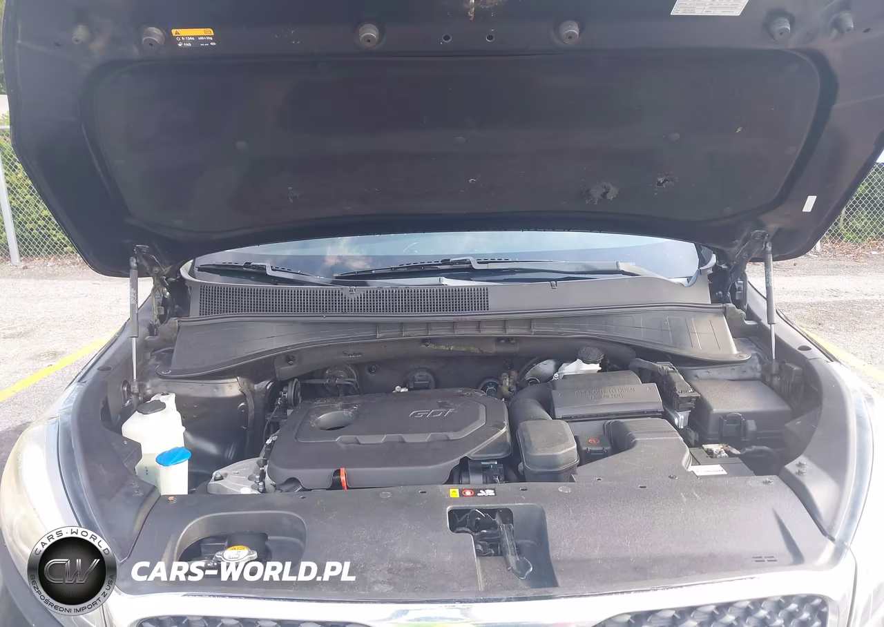 2018 Kia Sorento 2.4L Lx VIN:5XYPG4A36JG375414 - 10