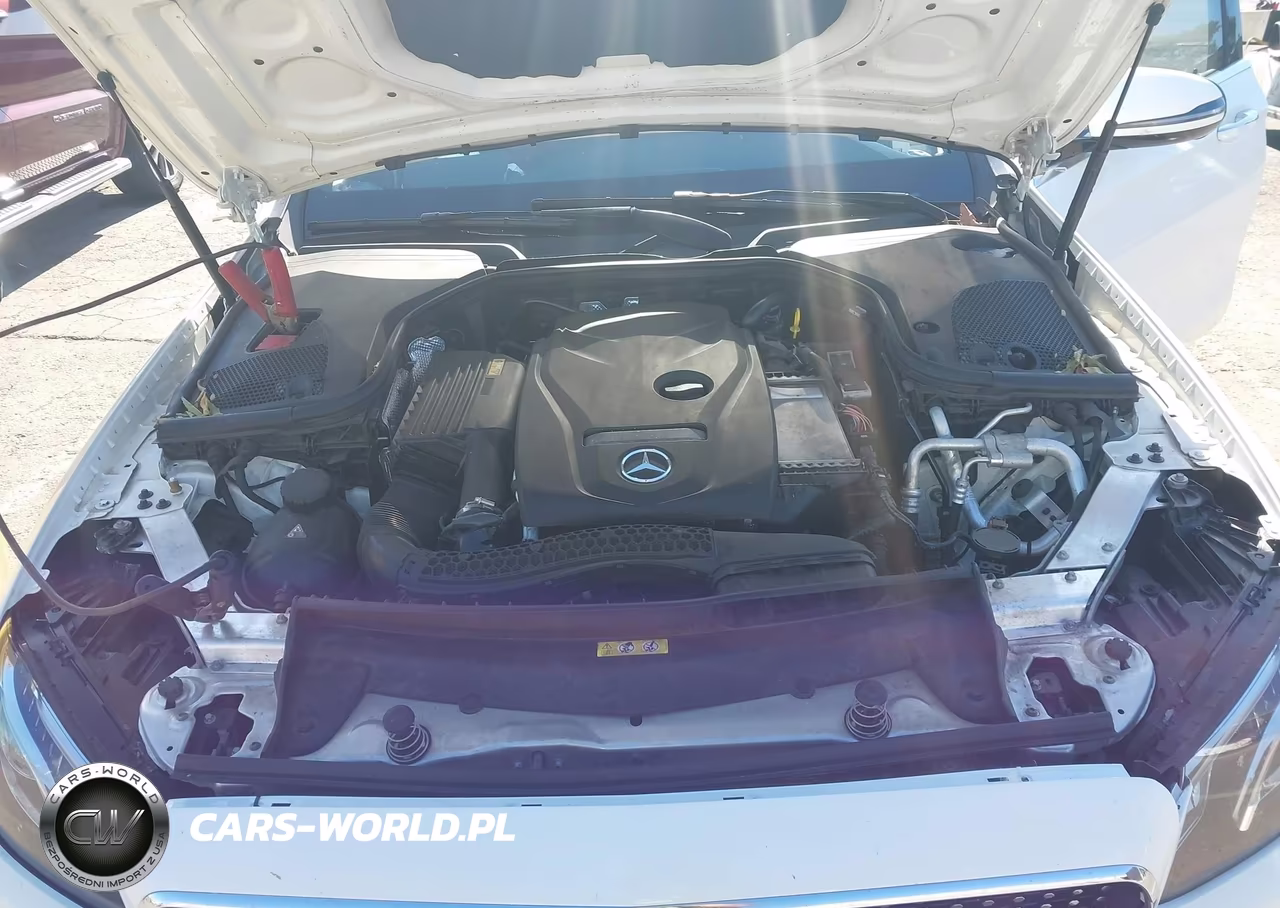 2017 Mercedes-Benz E 300 VIN:WDDZF4JB8HA092810 - 10