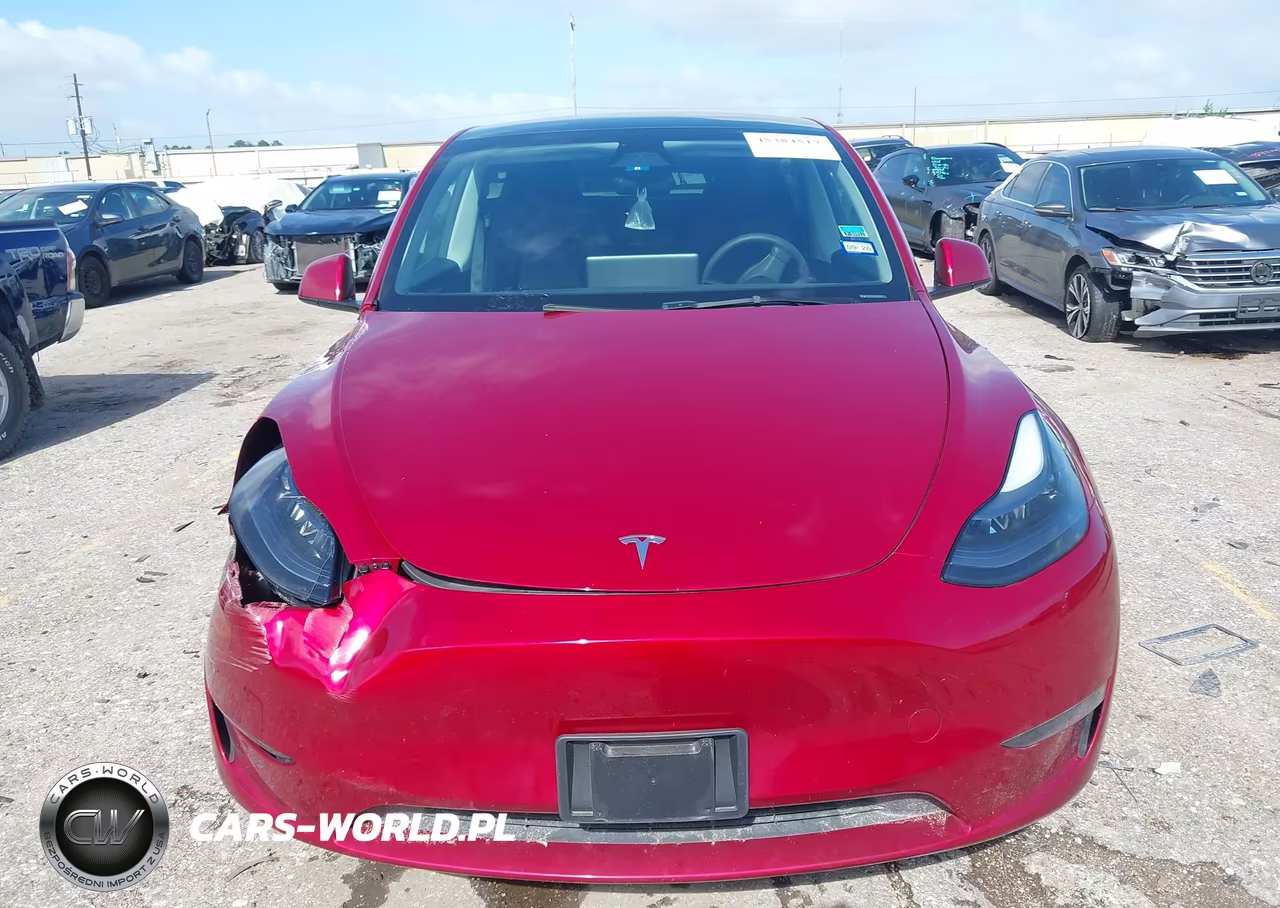 2024 Tesla Model Y Long Range Dual Motor All-Wheel Drive VIN:7SAYGDEE9RA325612 - 11