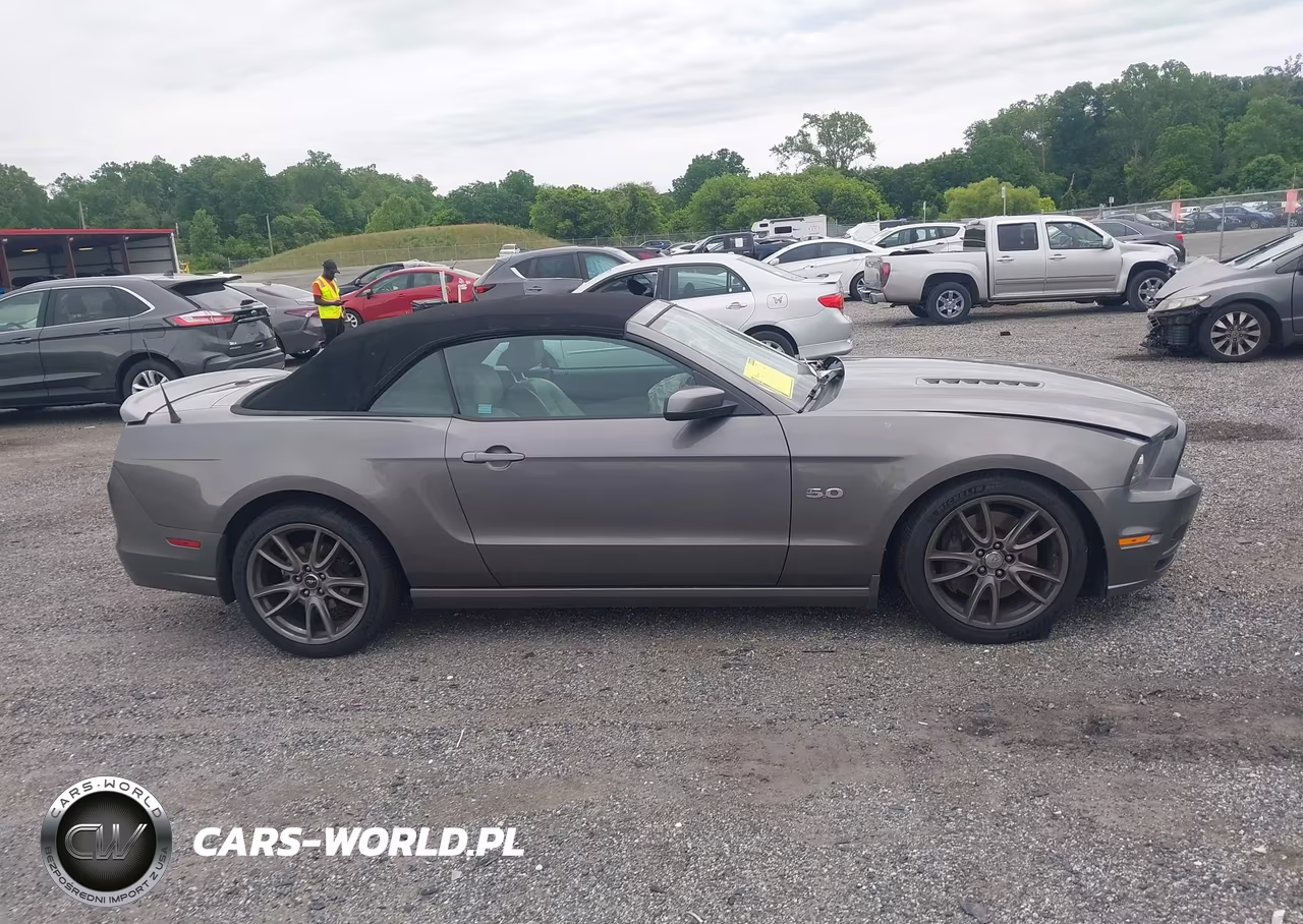 2014 Ford Mustang Gt Premium VIN:1ZVBP8FF3E5295794 - 13