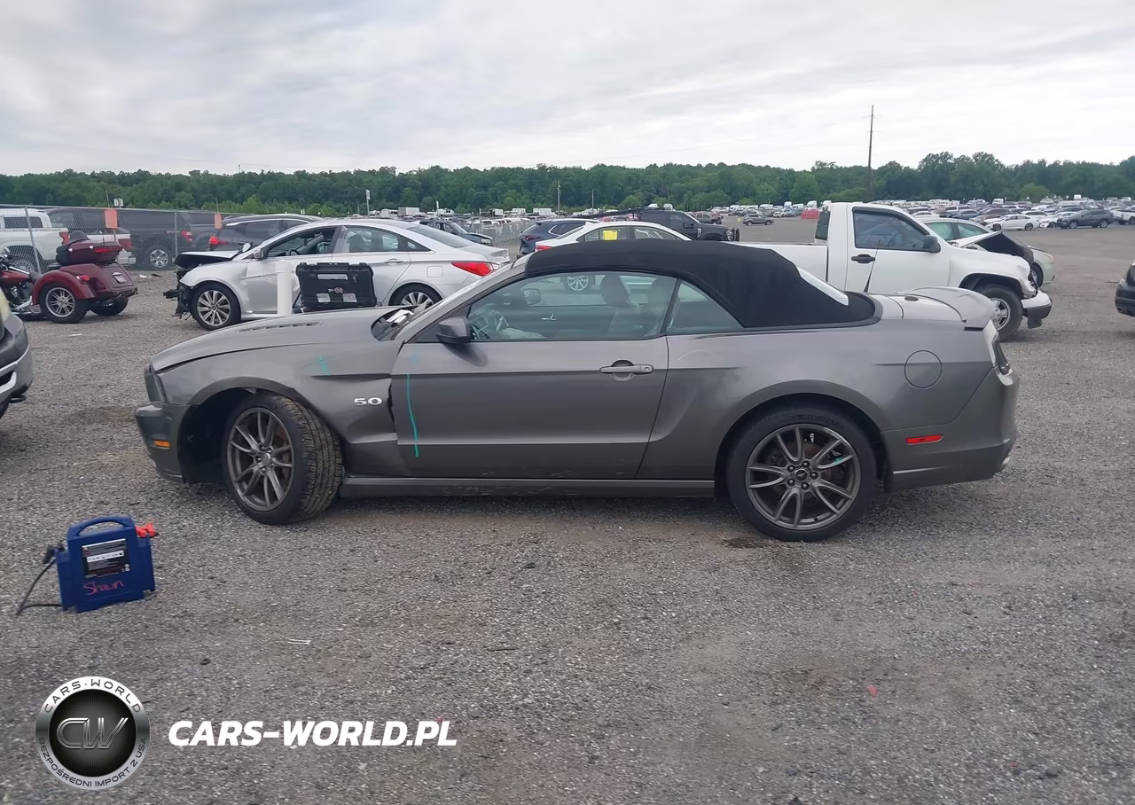 2014 Ford Mustang Gt Premium VIN:1ZVBP8FF3E5295794 - 14