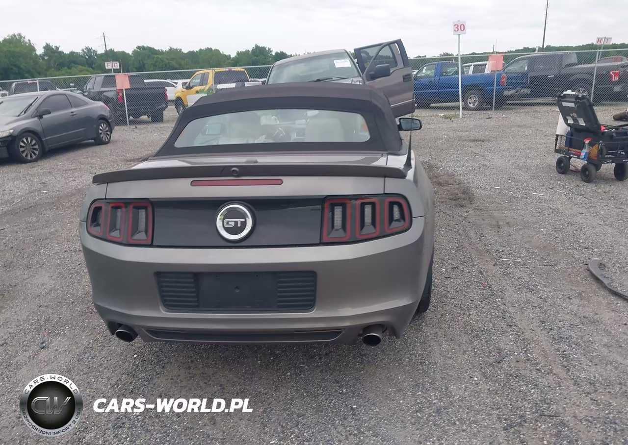 2014 Ford Mustang Gt Premium VIN:1ZVBP8FF3E5295794 - 16