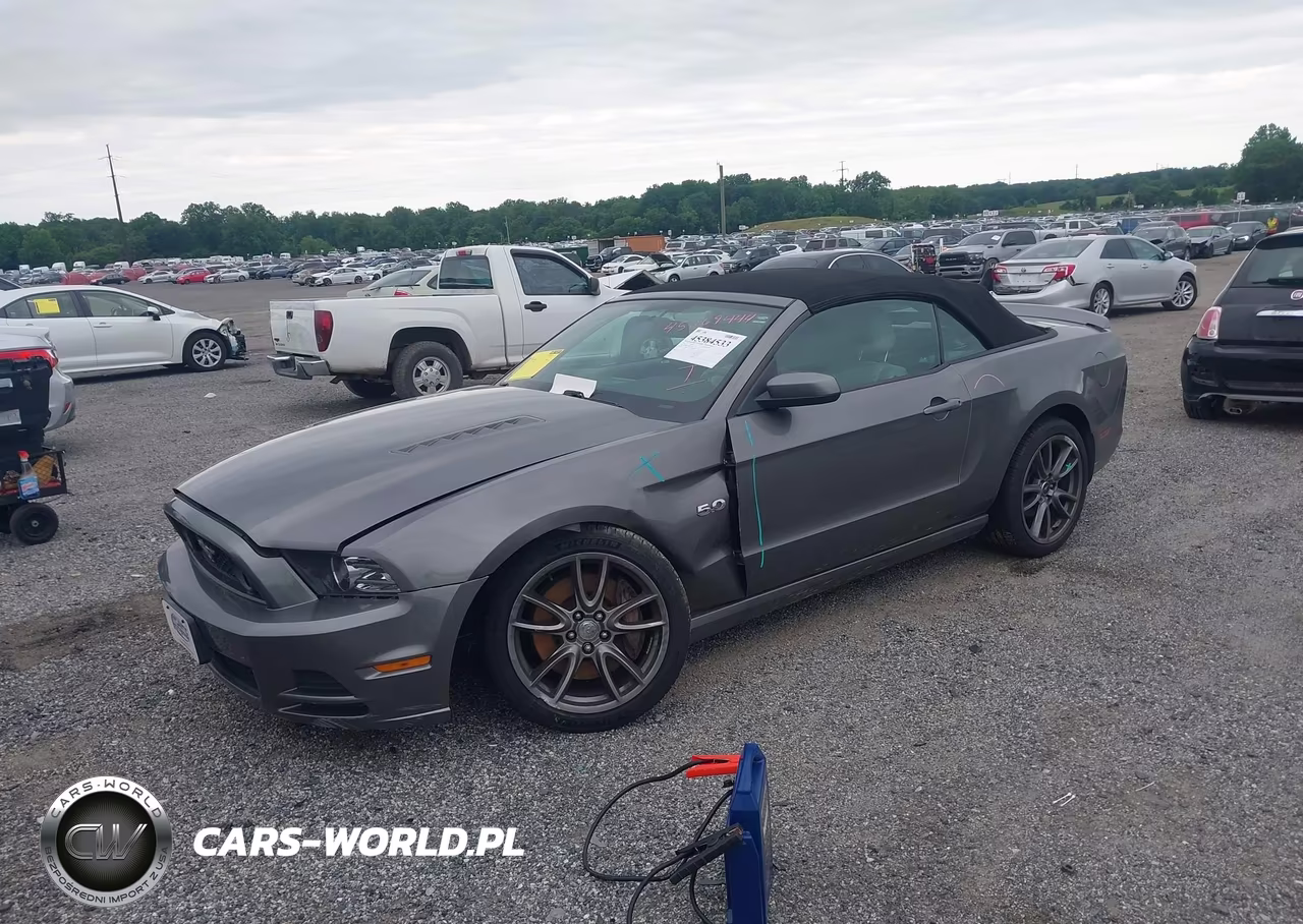 2014 Ford Mustang Gt Premium VIN:1ZVBP8FF3E5295794 - 2