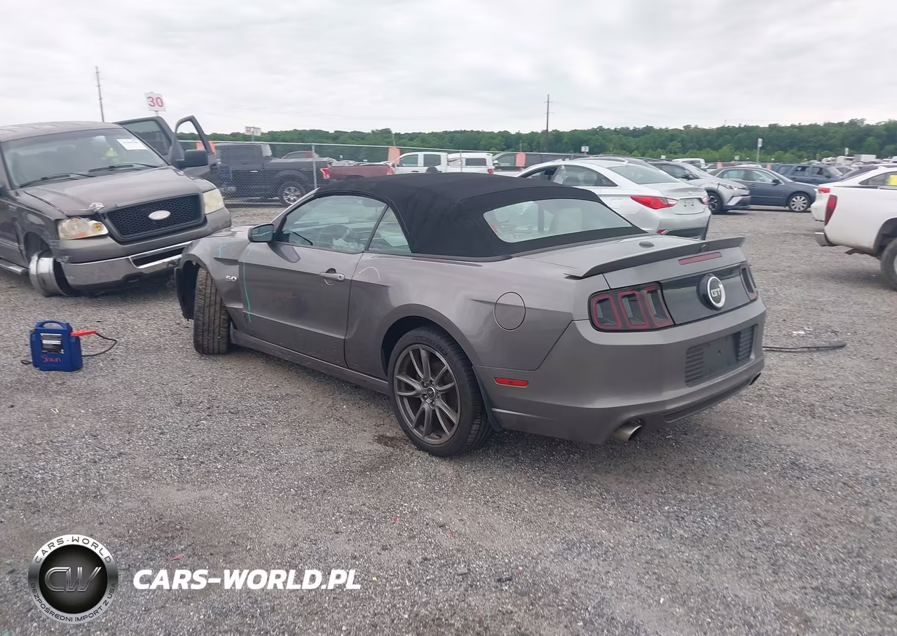 2014 Ford Mustang Gt Premium VIN:1ZVBP8FF3E5295794 - 3