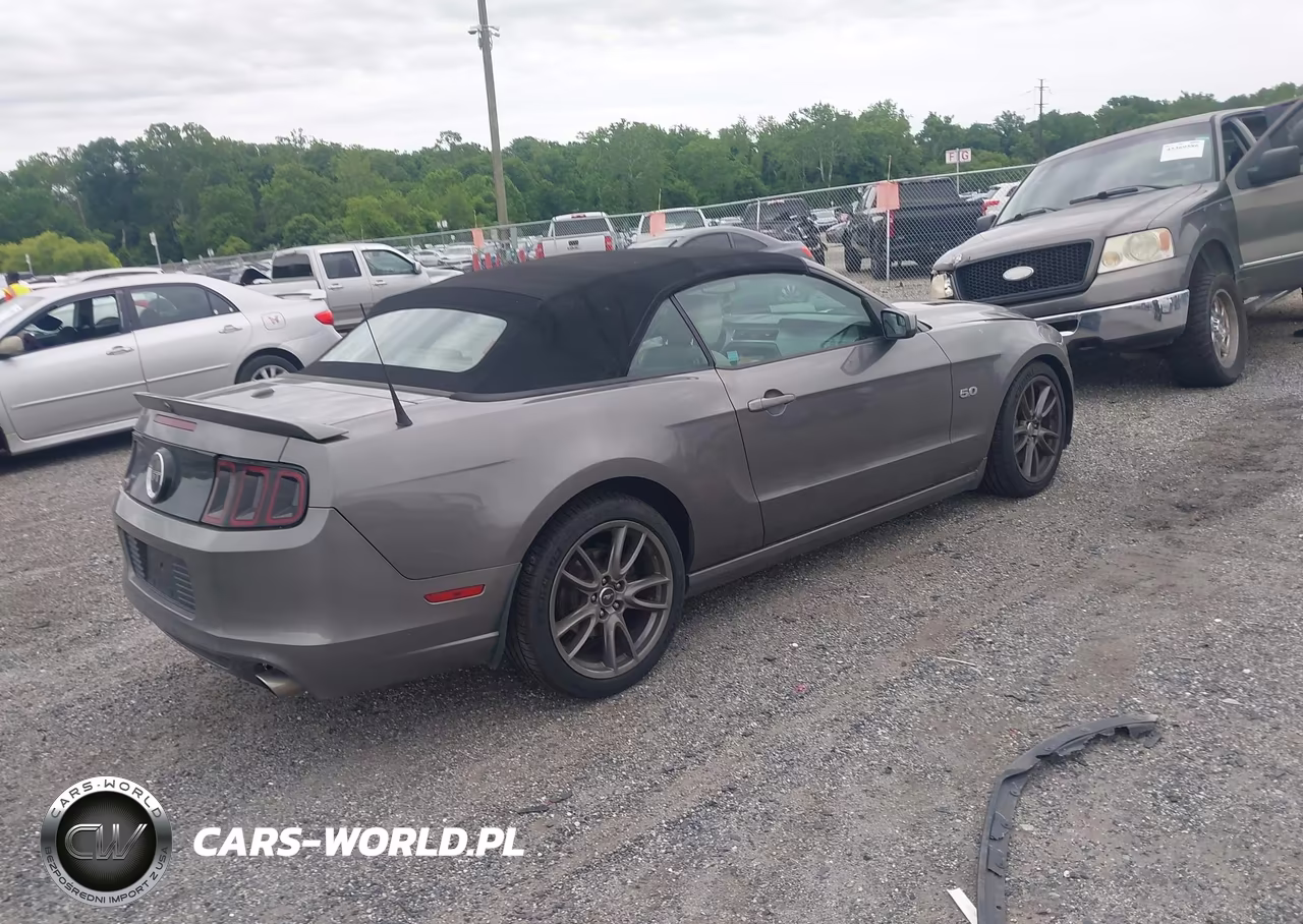 2014 Ford Mustang Gt Premium VIN:1ZVBP8FF3E5295794 - 4