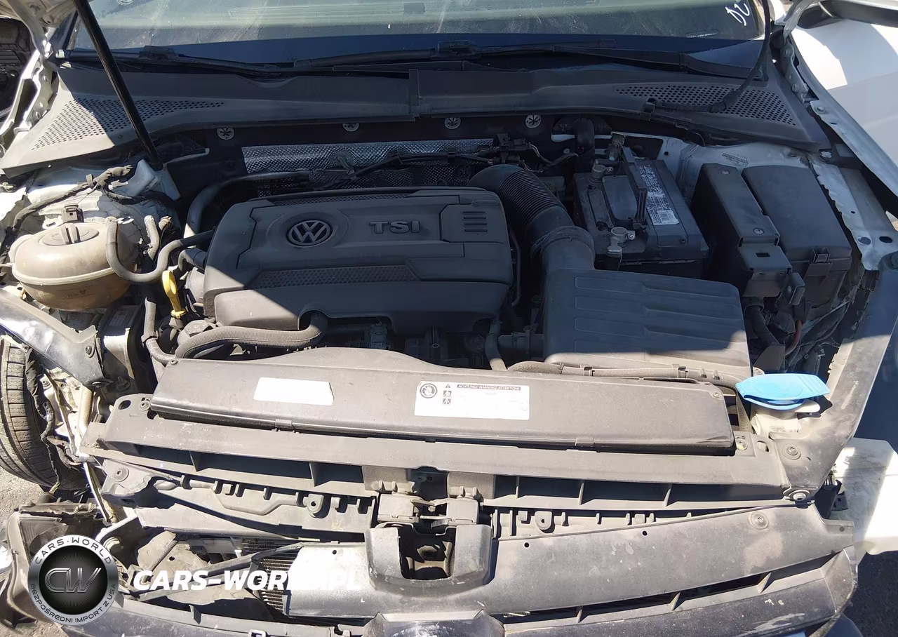 2015 Volkswagen Golf Tsi S 2-Door VIN:3VW917AU5FM063337 - 10