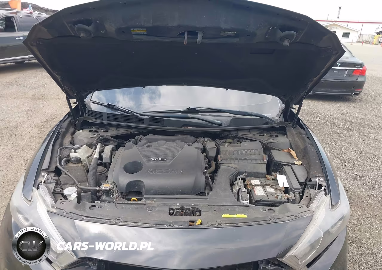 2016 Nissan Maxima 3.5 Sl VIN:1N4AA6AP5GC395999 - 10