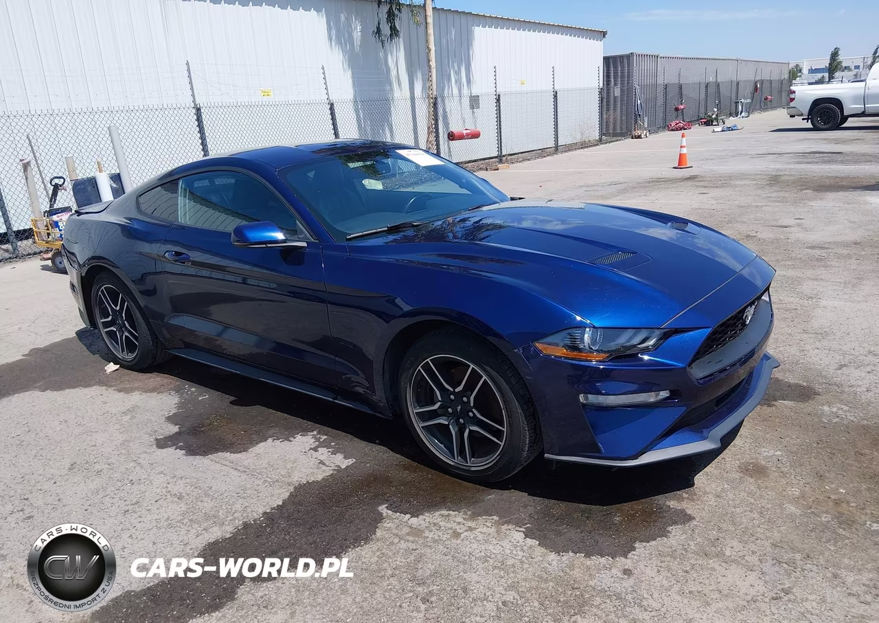 FORD MUSTANG