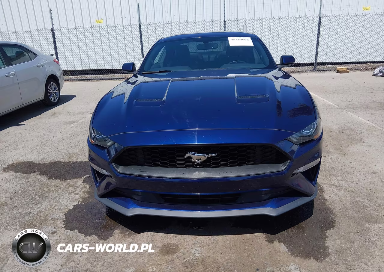 FORD MUSTANG VIN:1FA6P8TH6K5123528 - 12