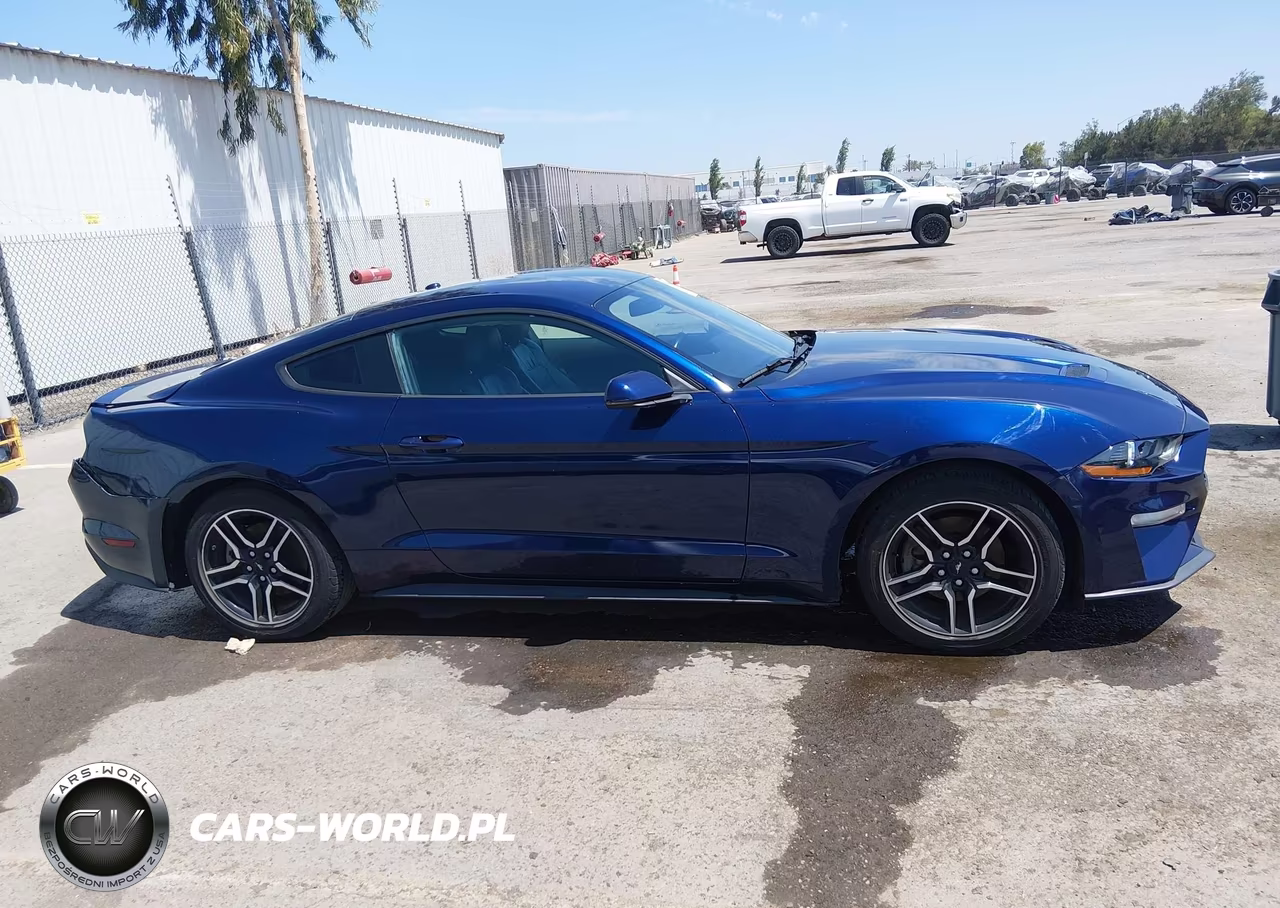 FORD MUSTANG VIN:1FA6P8TH6K5123528 - 13