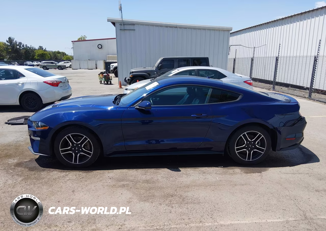 FORD MUSTANG VIN:1FA6P8TH6K5123528 - 14