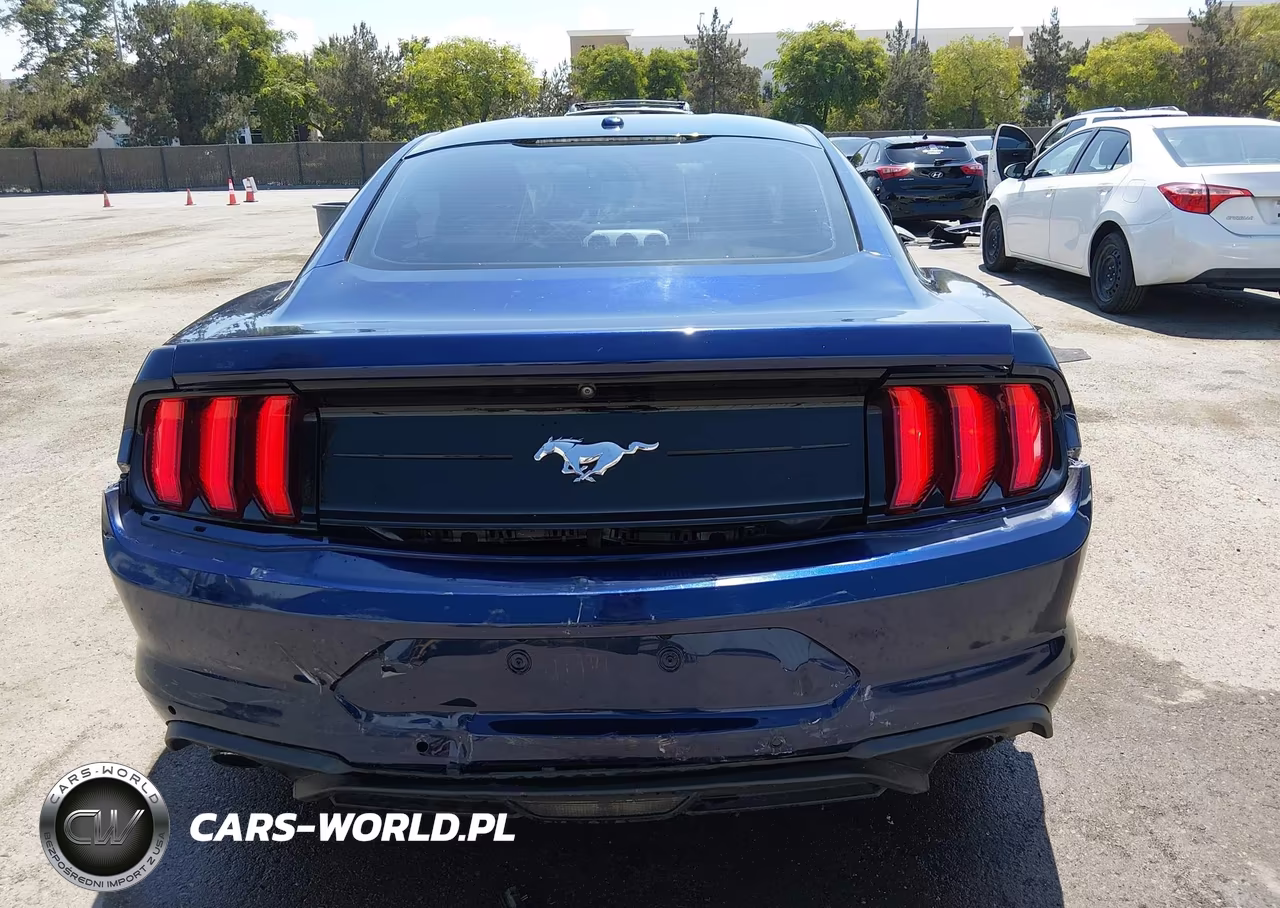FORD MUSTANG VIN:1FA6P8TH6K5123528 - 16