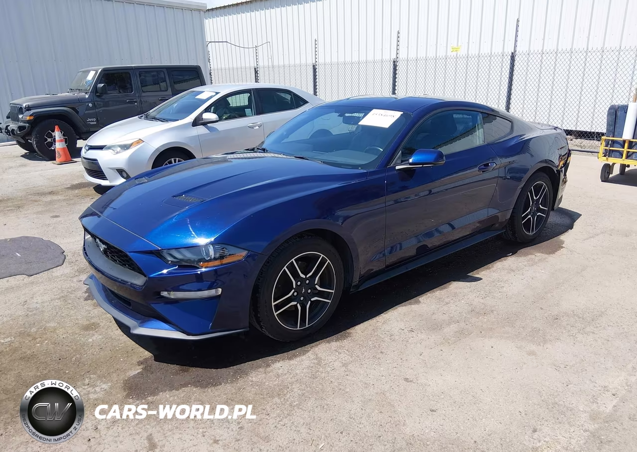 FORD MUSTANG VIN:1FA6P8TH6K5123528 - 2