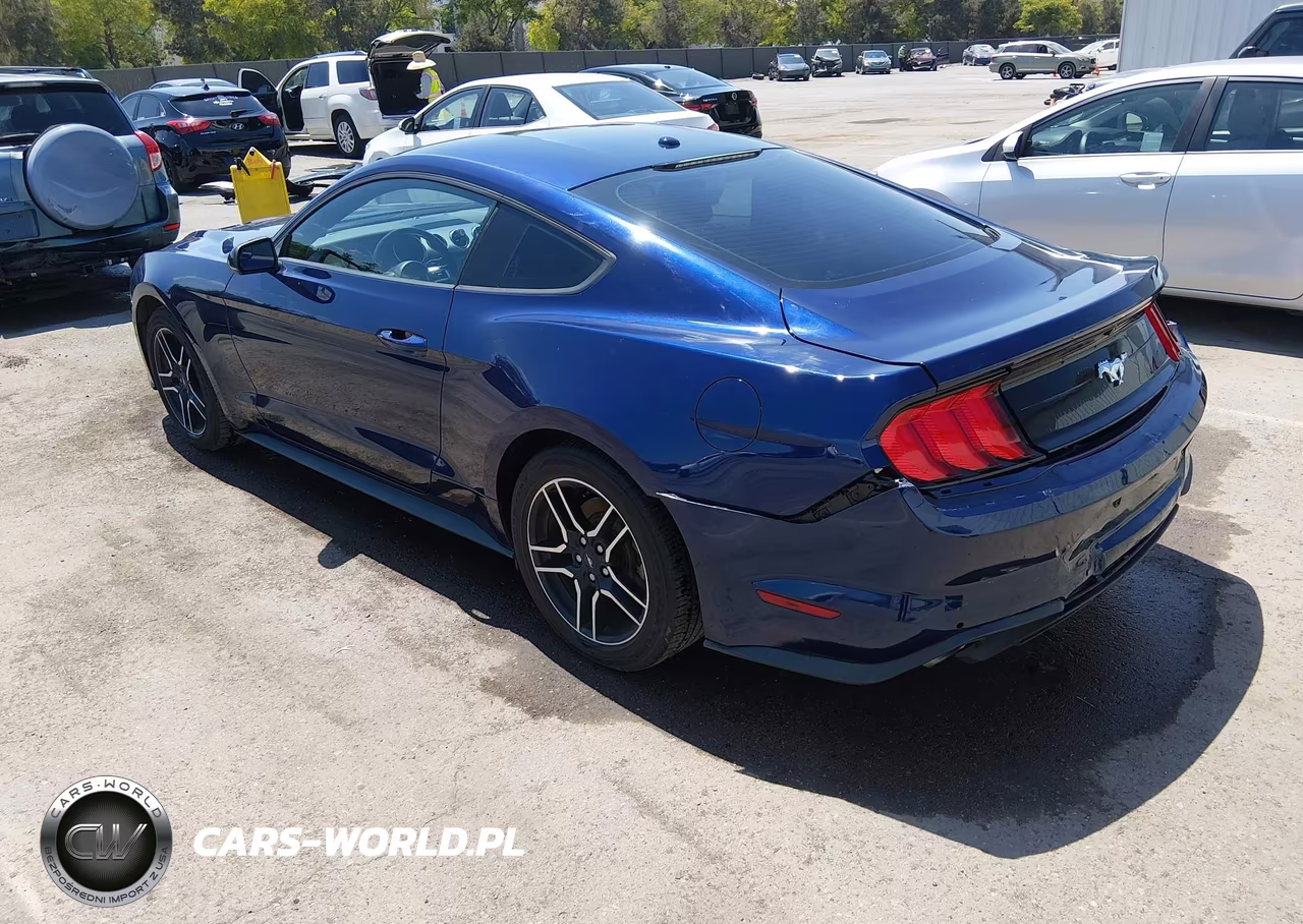FORD MUSTANG VIN:1FA6P8TH6K5123528 - 3