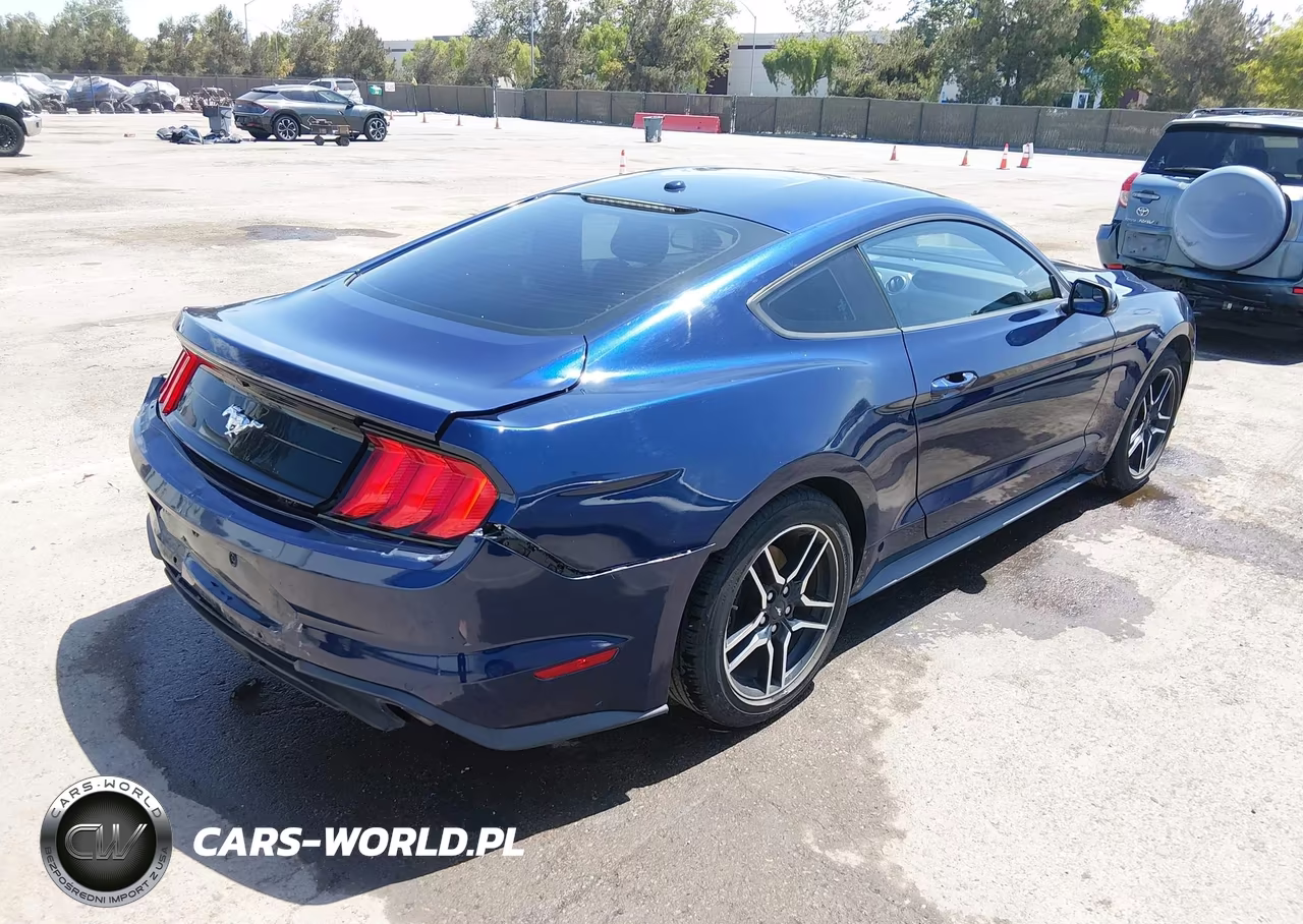 FORD MUSTANG VIN:1FA6P8TH6K5123528 - 4