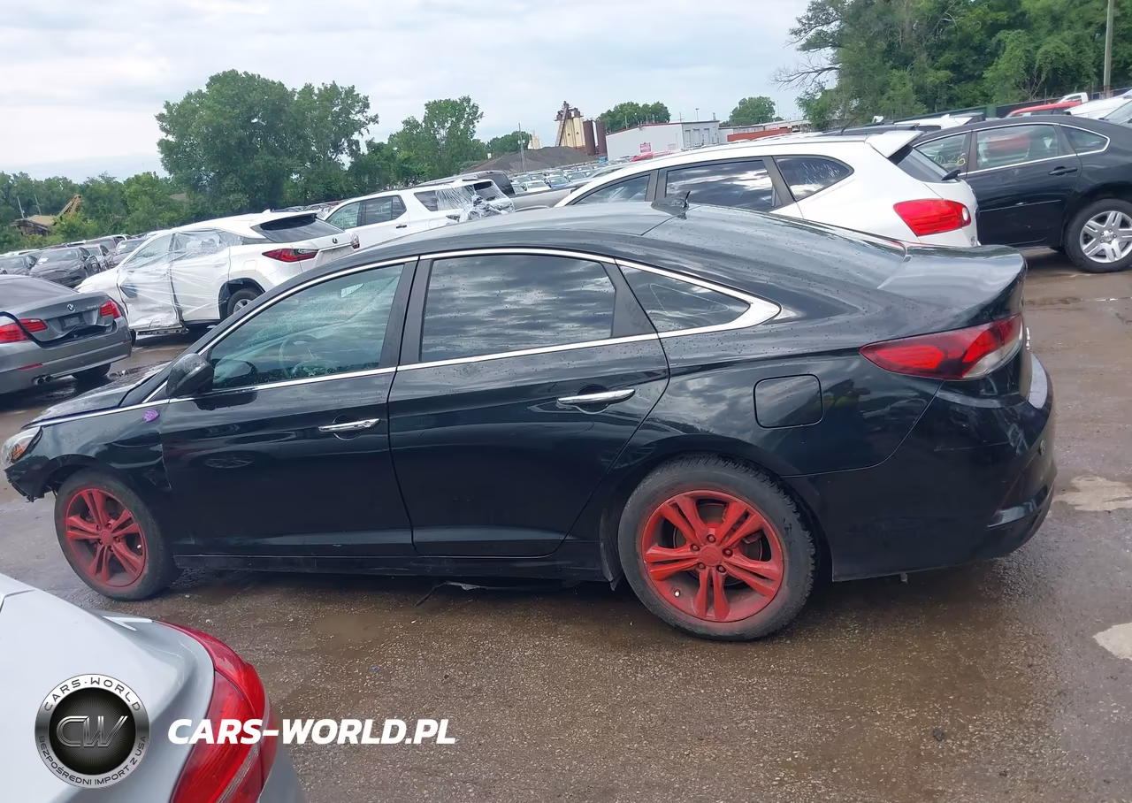 2019 Hyundai Sonata Sel VIN:5NPE34AF1KH749676 - 15