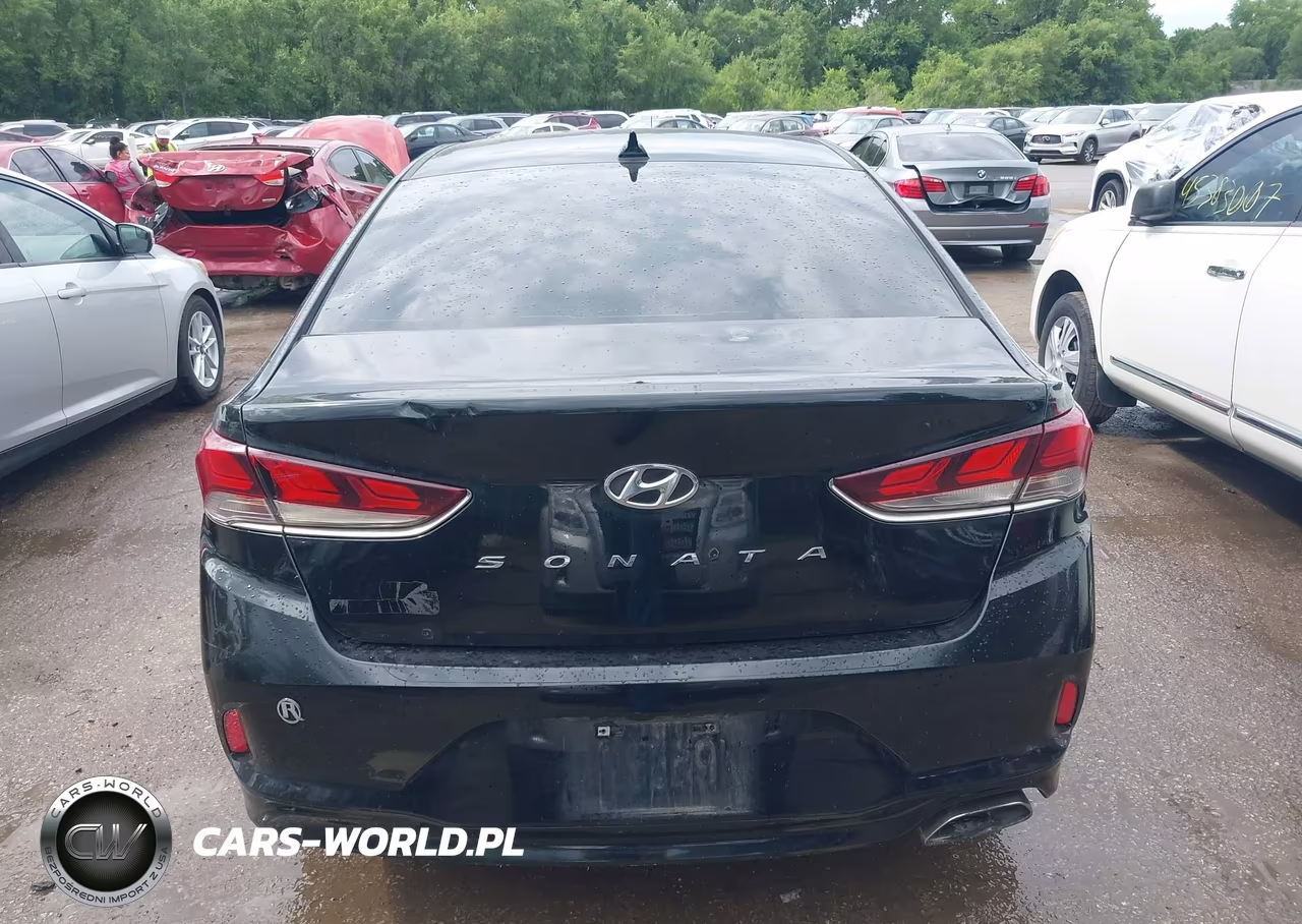 2019 Hyundai Sonata Sel VIN:5NPE34AF1KH749676 - 17