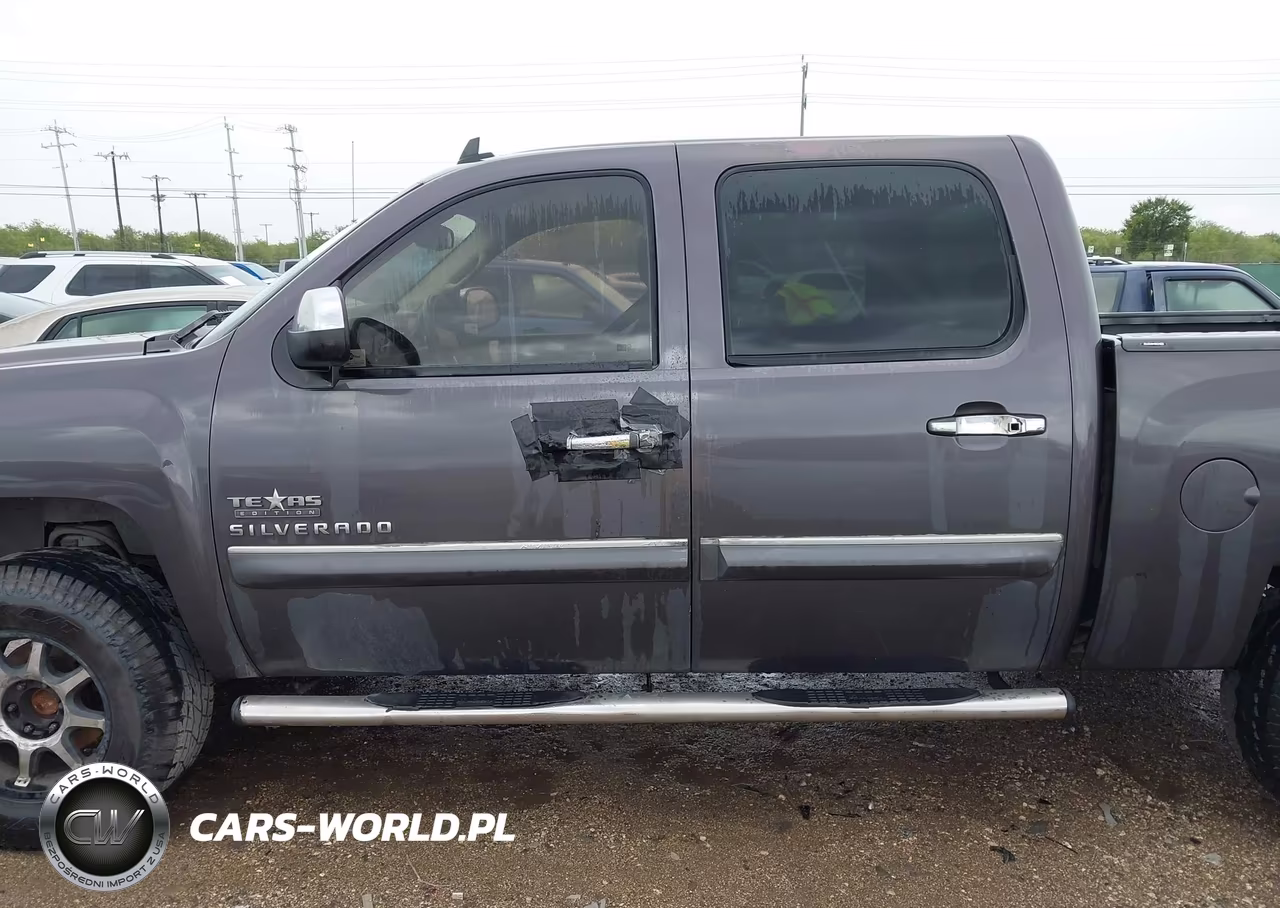 2010 Chevrolet Silverado 1500 Lt VIN:3GCRCSE09AG195578 - 14