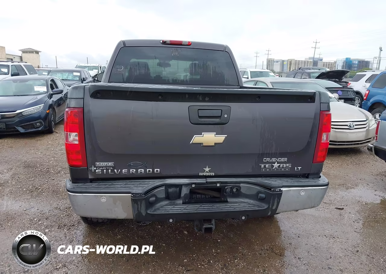 2010 Chevrolet Silverado 1500 Lt VIN:3GCRCSE09AG195578 - 16