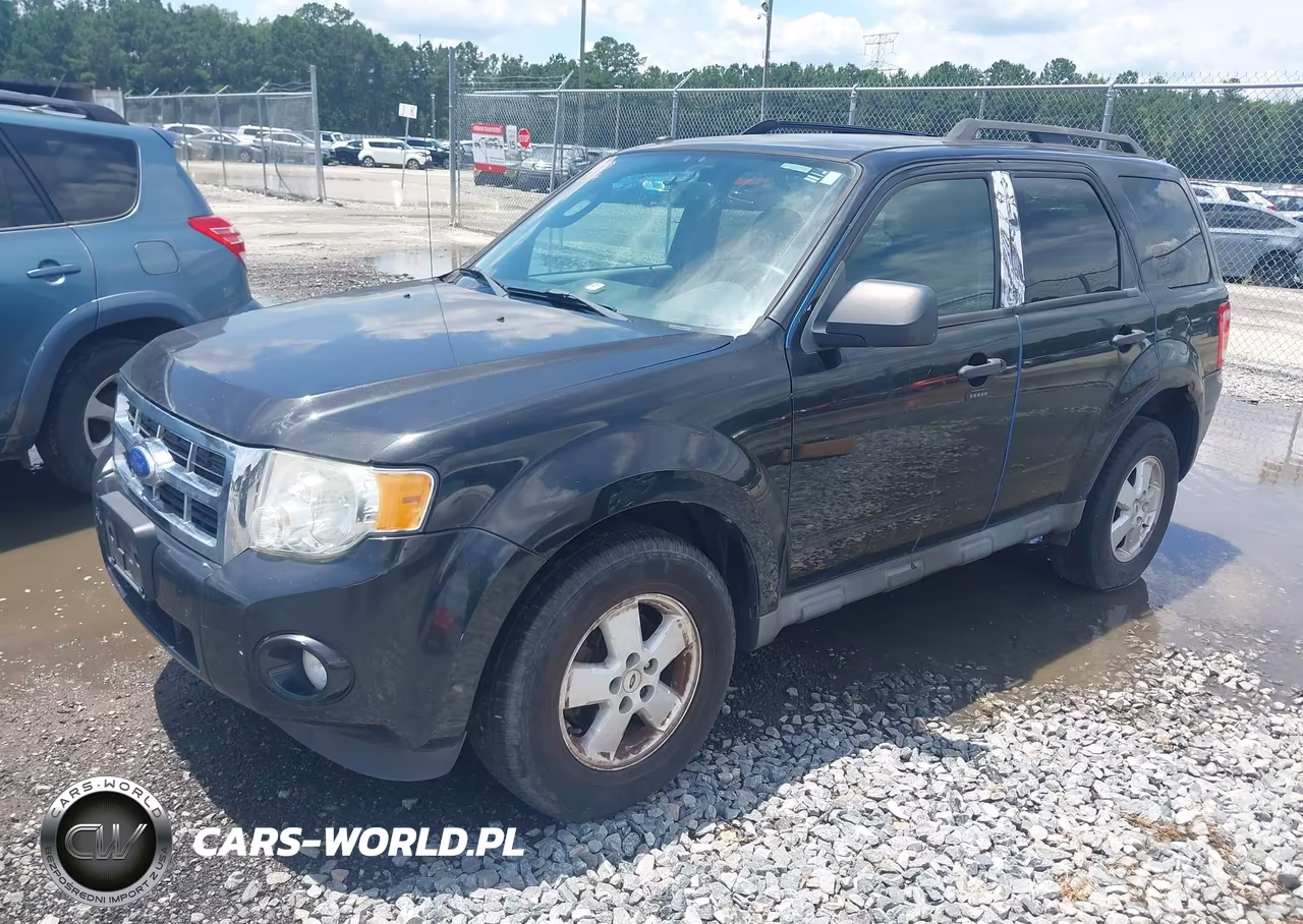 2011 Ford Escape Xlt VIN:1FMCU9DG9BKC24027 - 2