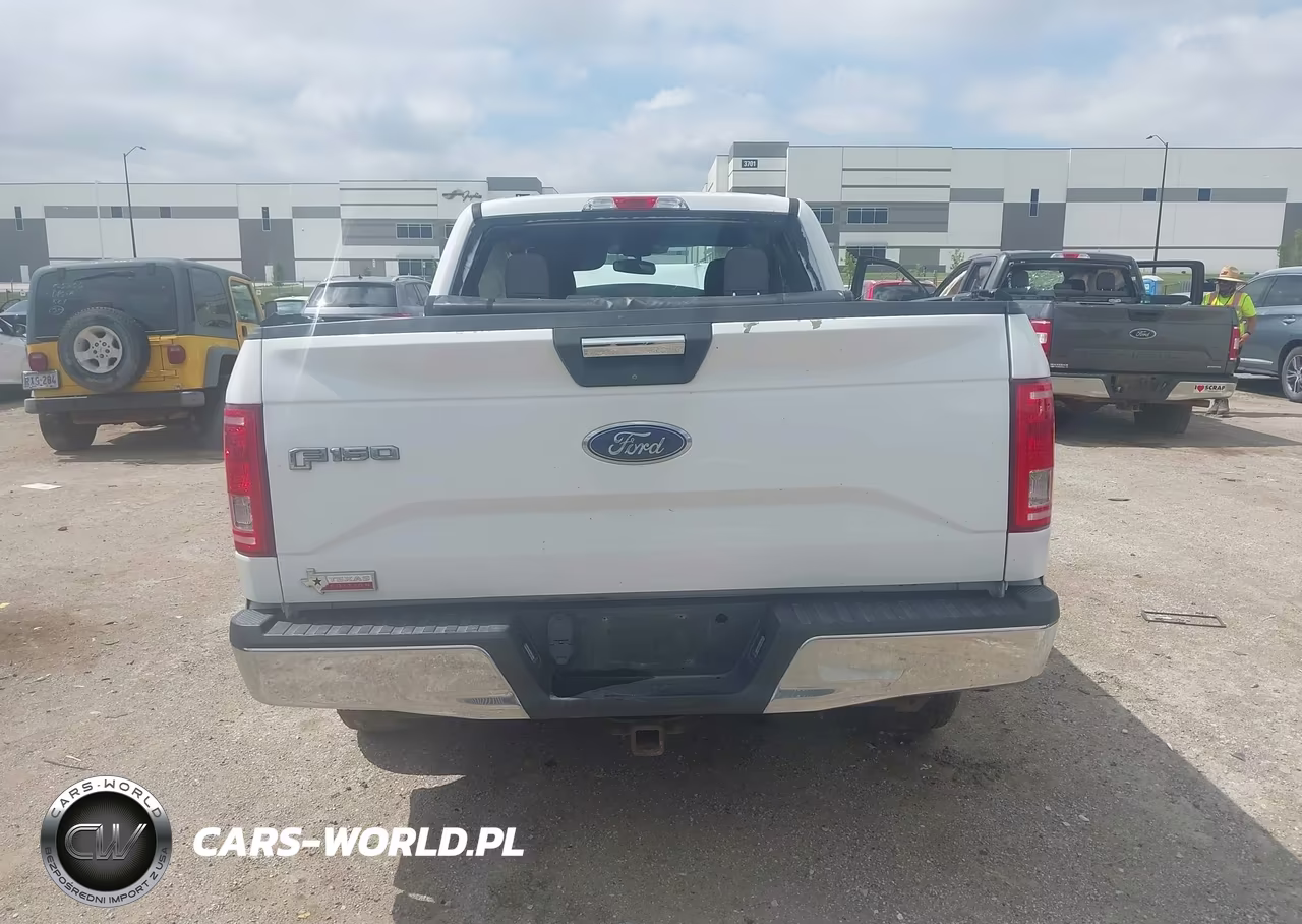 2016 Ford F-150 Xlt VIN:1FTEX1CP9GKF09499 - 17