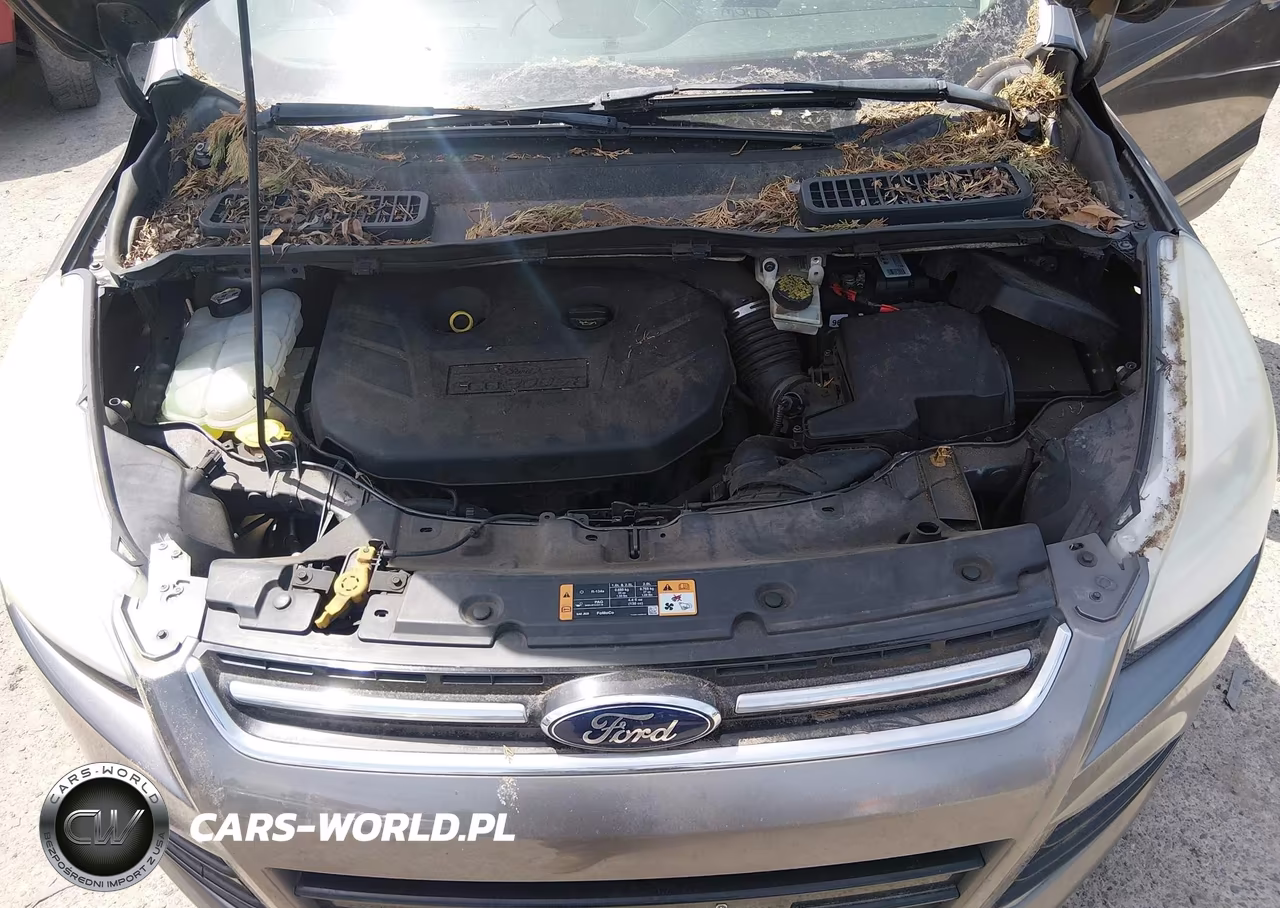 2014 Ford Escape Titanium VIN:1FMCU0J91EUA85652 - 10