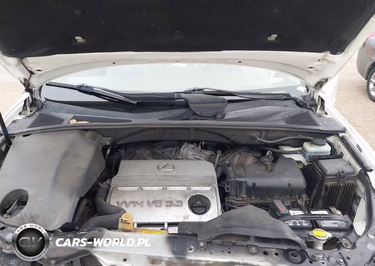 2005 Lexus Rx 330 VIN:JTJGA31U850057033 - 10