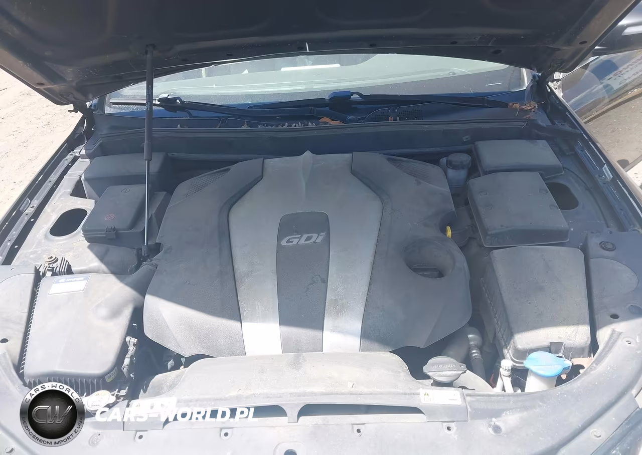 2013 Hyundai Genesis 3.8 VIN:KMHGC4DD8DU244564 - 10