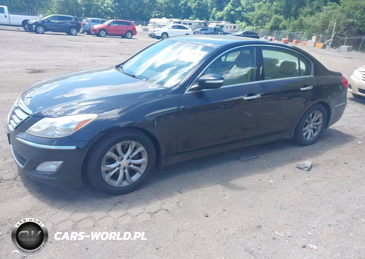 2013 Hyundai Genesis 3.8 VIN:KMHGC4DD8DU244564 - 2