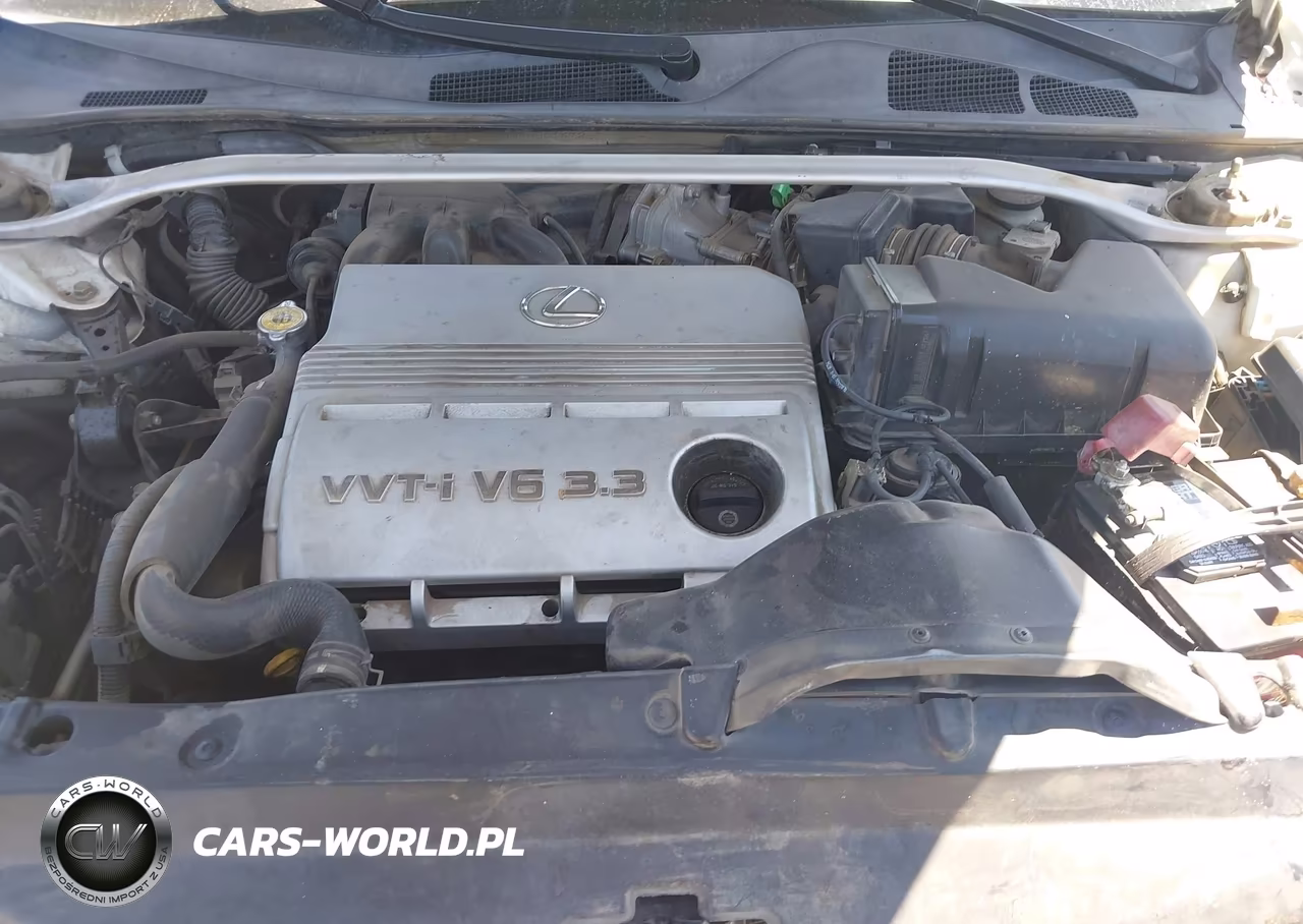 2004 Lexus Es 330 VIN:JTHBA30G345001672 - 10