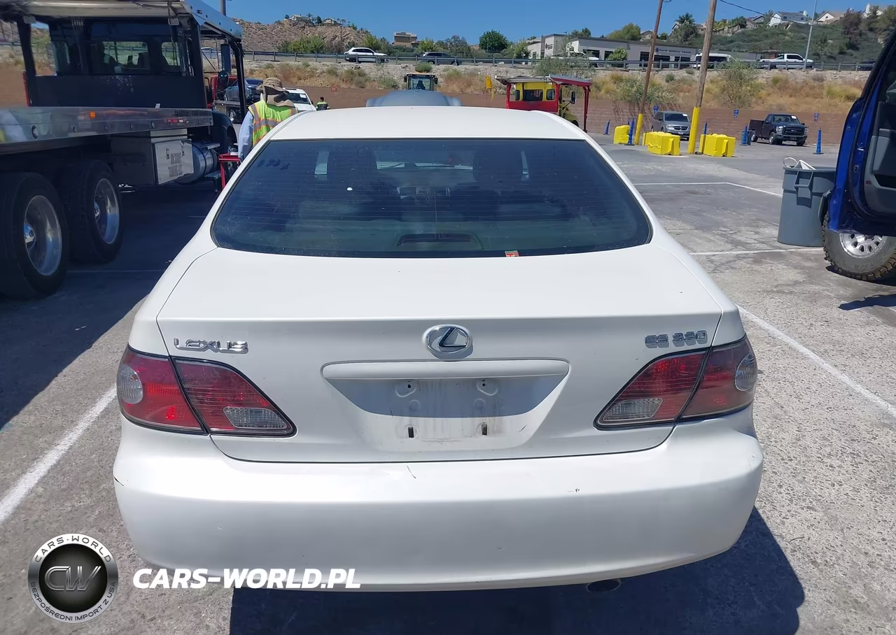 2004 Lexus Es 330 VIN:JTHBA30G345001672 - 19