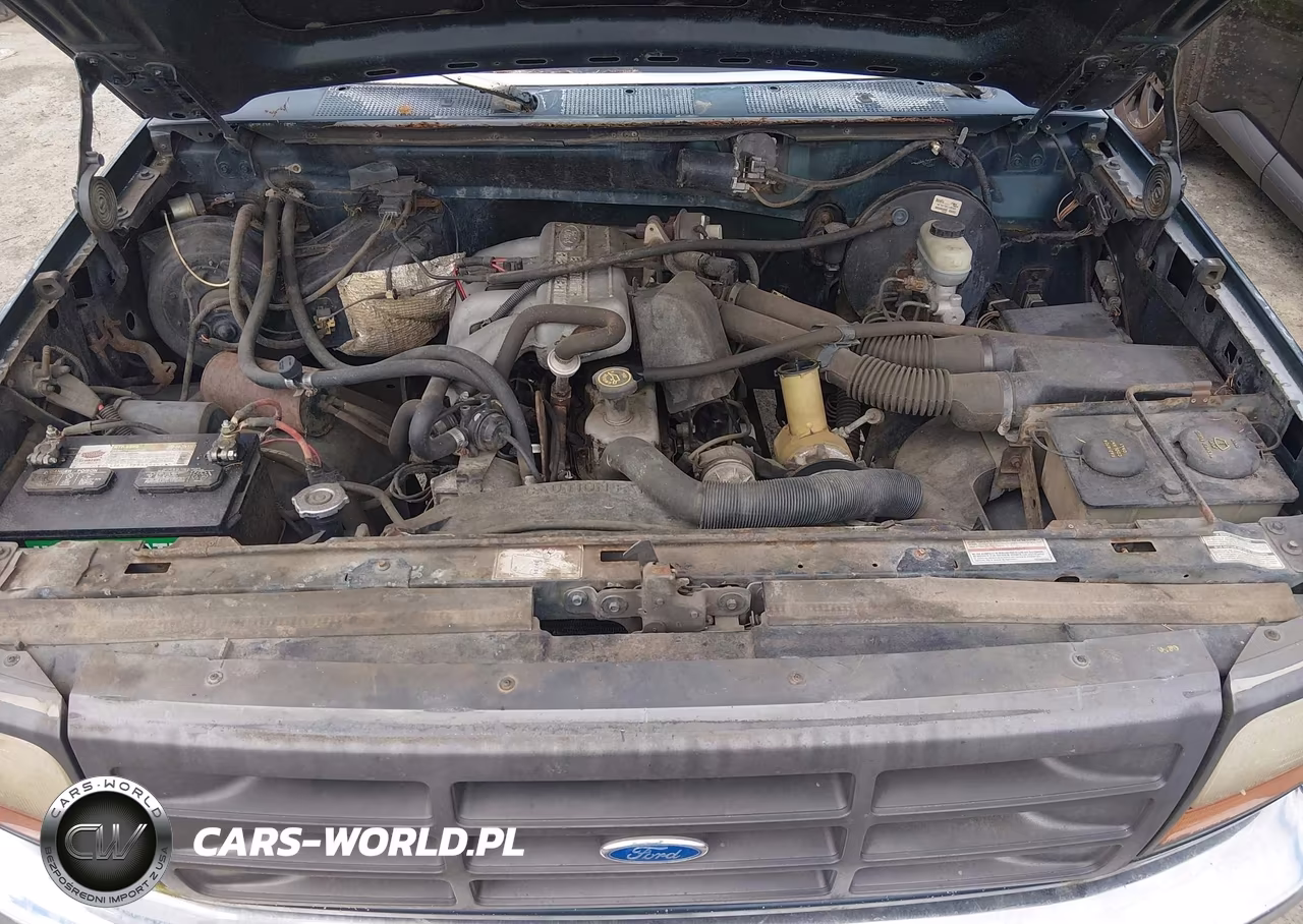1994 Ford F150 VIN:1FTEX14Y1RKA13851 - 10