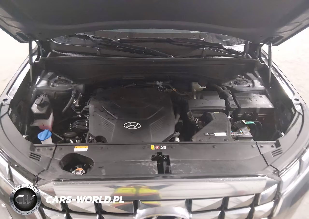 2025 Hyundai Palisade Calligraphy VIN:KM8R7DGE1SU928452 - 10