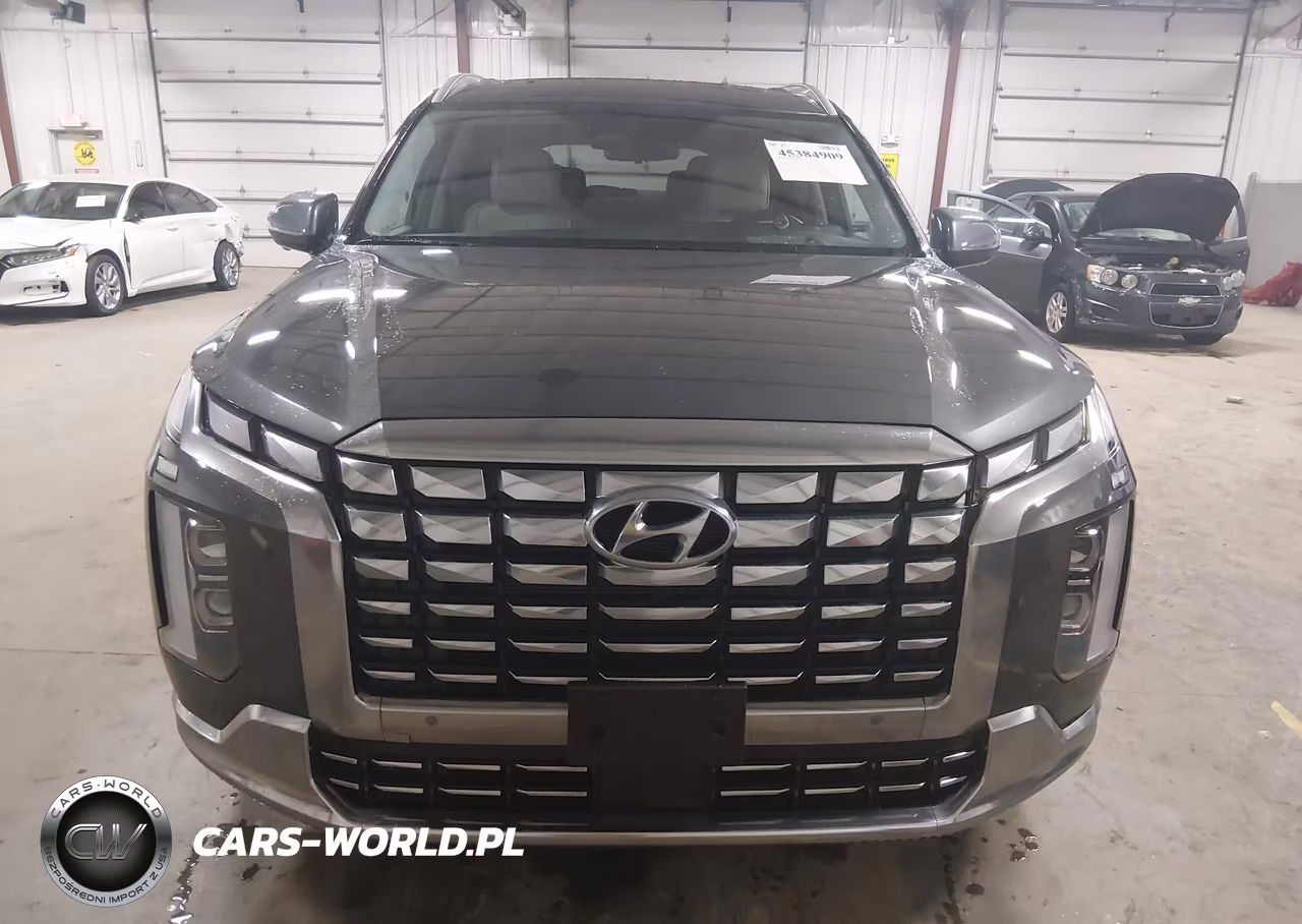 2025 Hyundai Palisade Calligraphy VIN:KM8R7DGE1SU928452 - 12