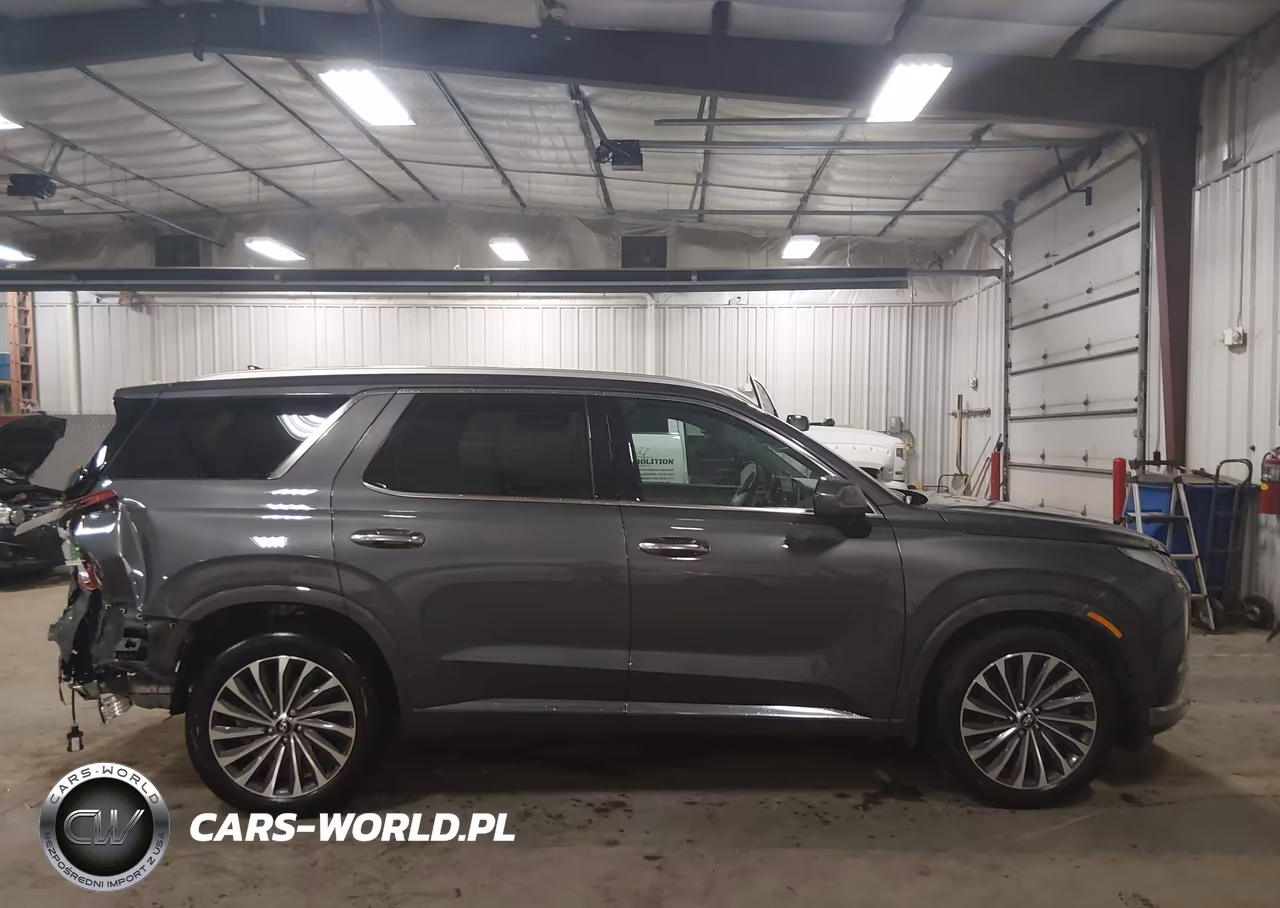 2025 Hyundai Palisade Calligraphy VIN:KM8R7DGE1SU928452 - 13