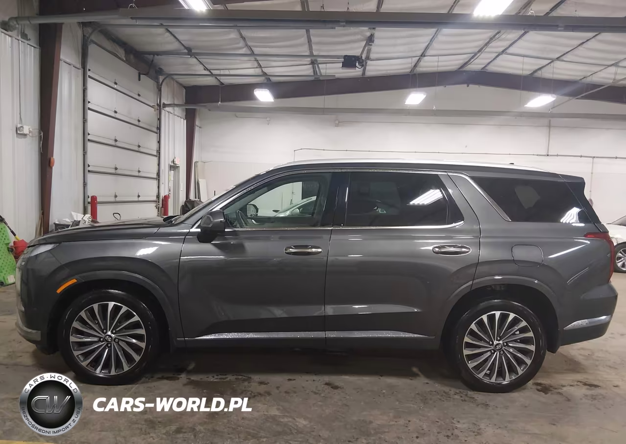 2025 Hyundai Palisade Calligraphy VIN:KM8R7DGE1SU928452 - 14