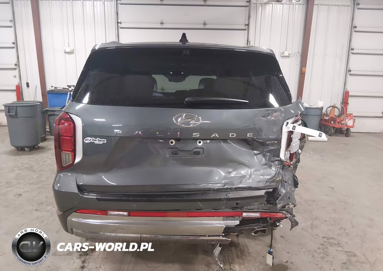 2025 Hyundai Palisade Calligraphy VIN:KM8R7DGE1SU928452 - 16