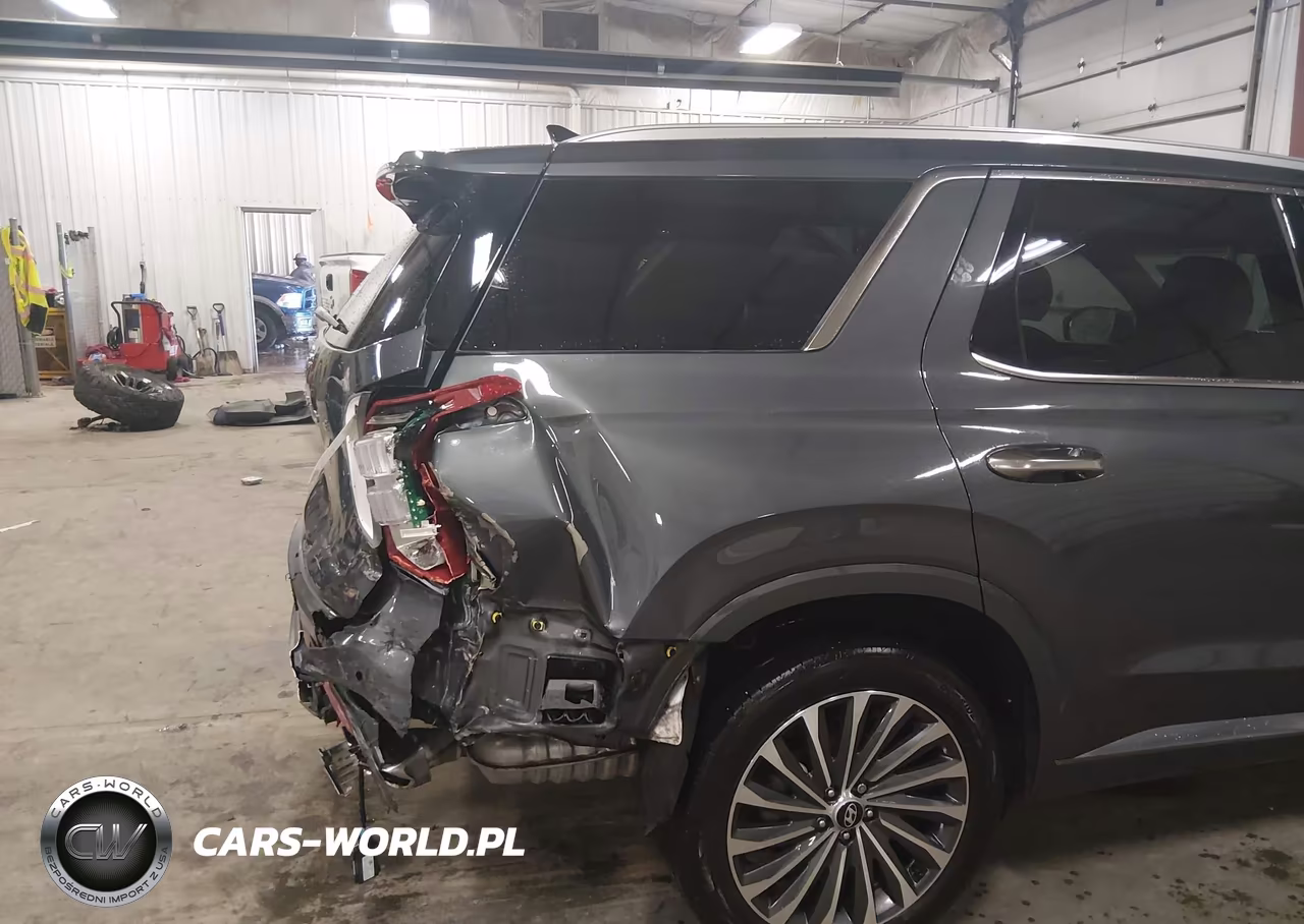 2025 Hyundai Palisade Calligraphy VIN:KM8R7DGE1SU928452 - 18