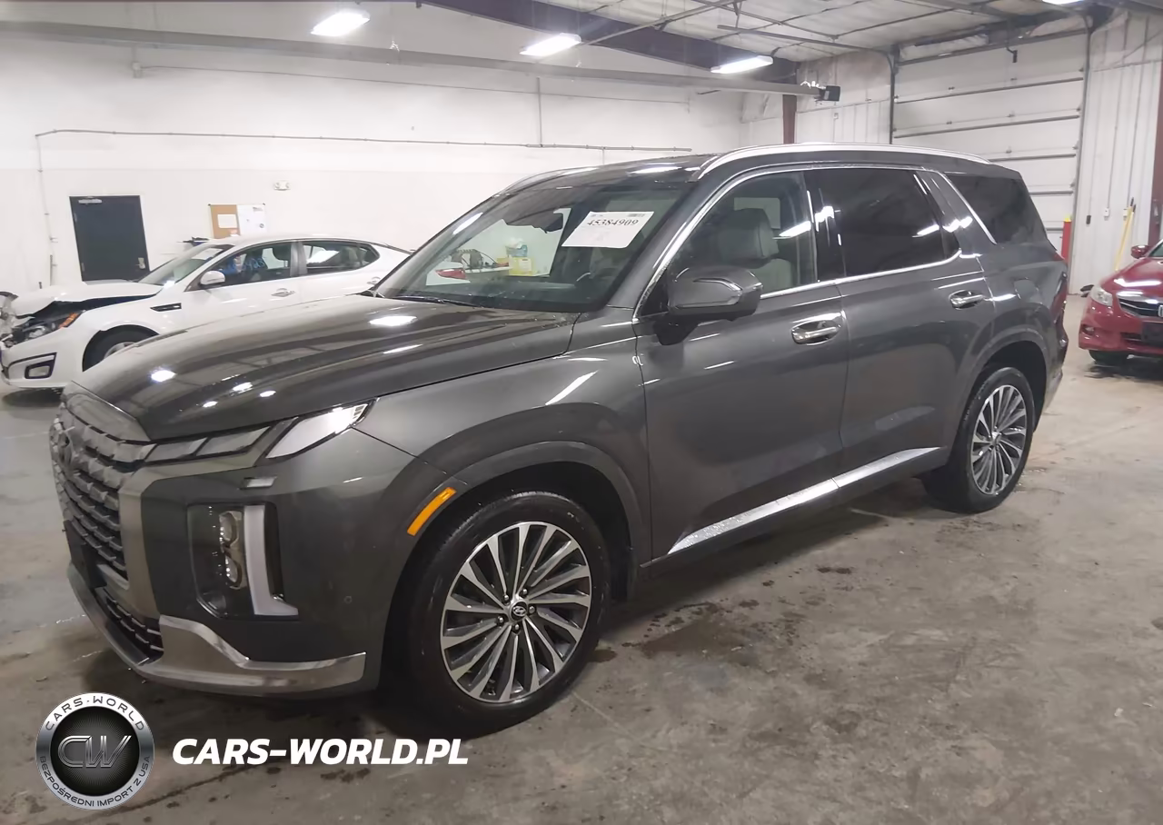 2025 Hyundai Palisade Calligraphy VIN:KM8R7DGE1SU928452 - 2