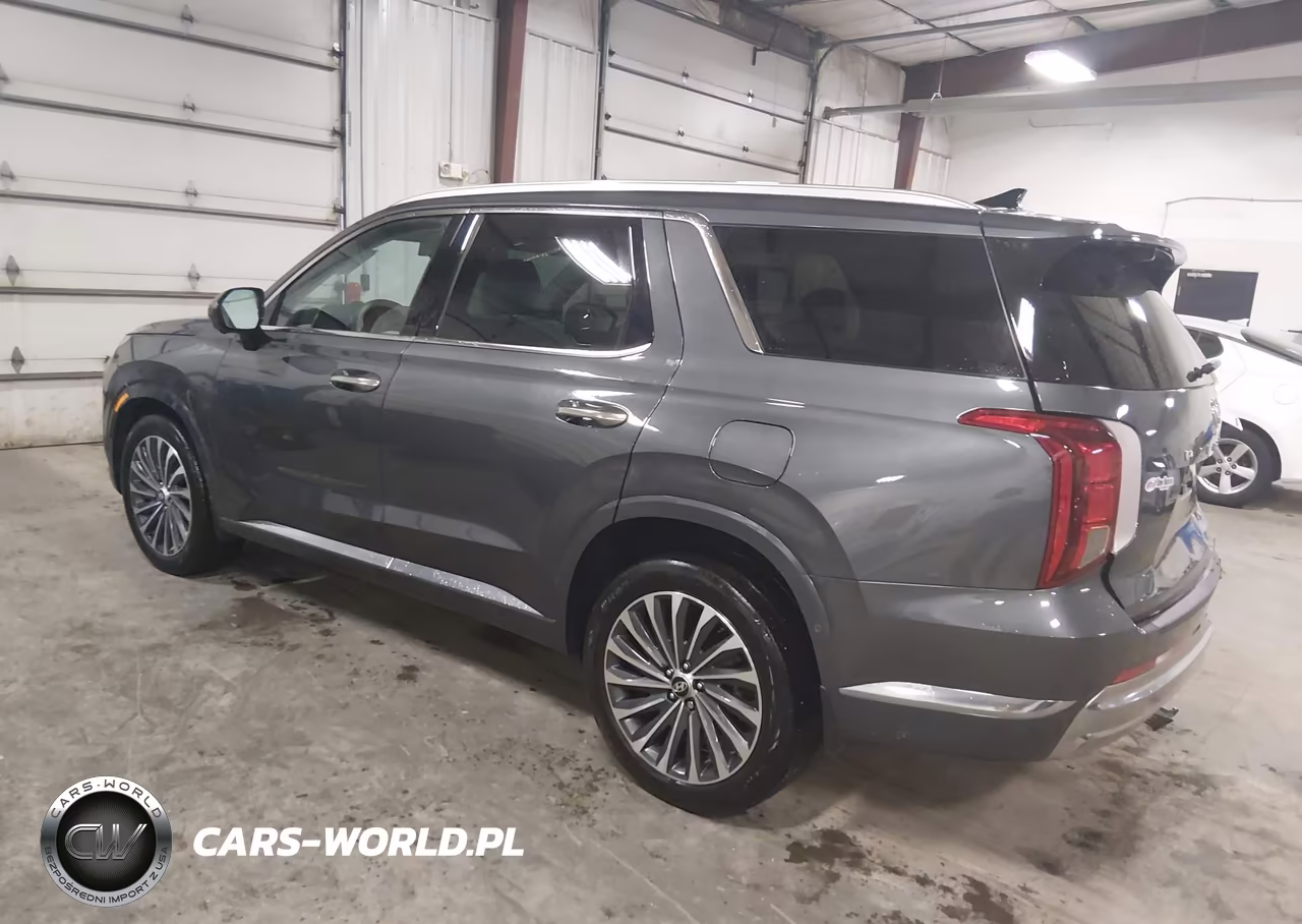 2025 Hyundai Palisade Calligraphy VIN:KM8R7DGE1SU928452 - 3