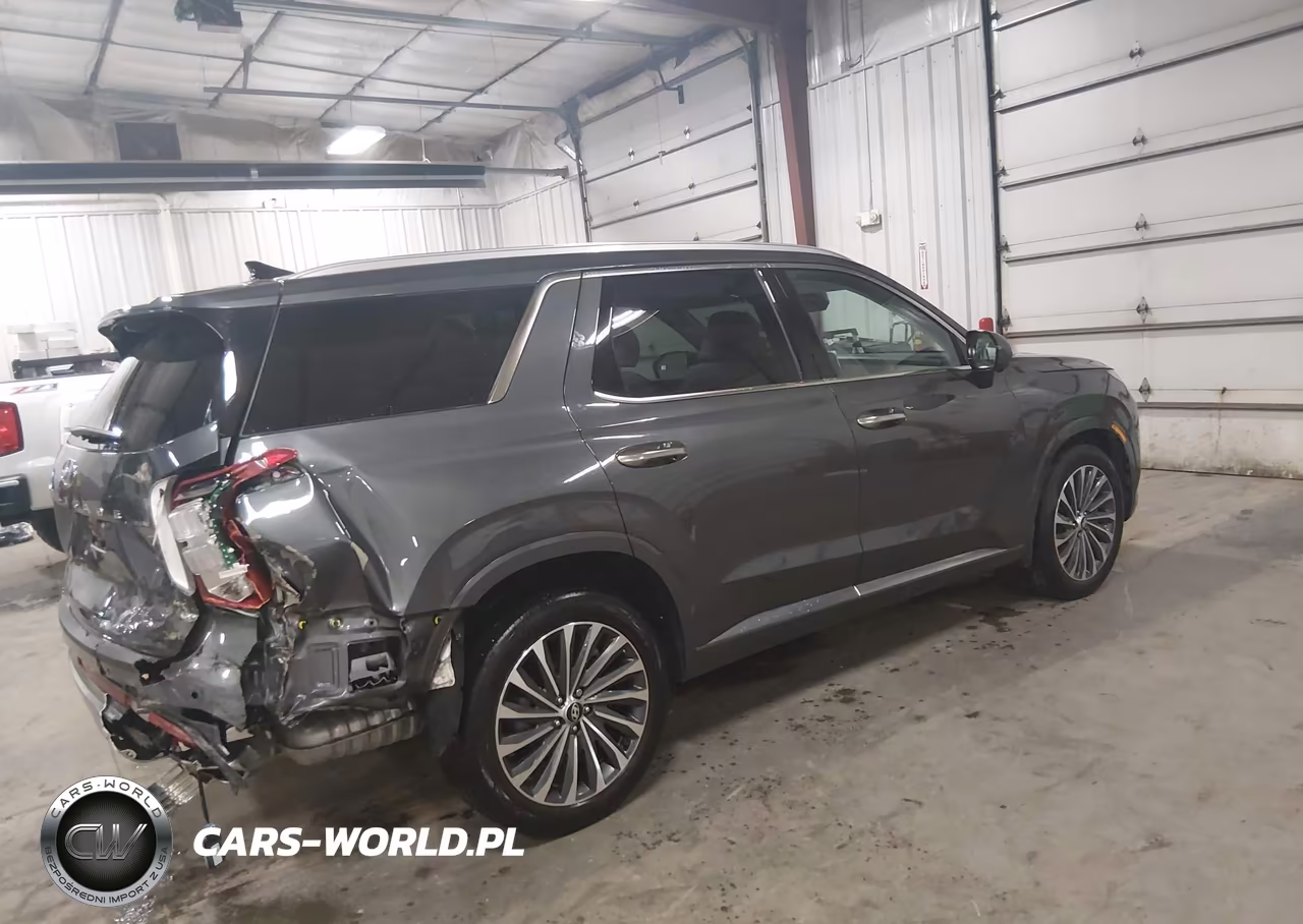 2025 Hyundai Palisade Calligraphy VIN:KM8R7DGE1SU928452 - 4