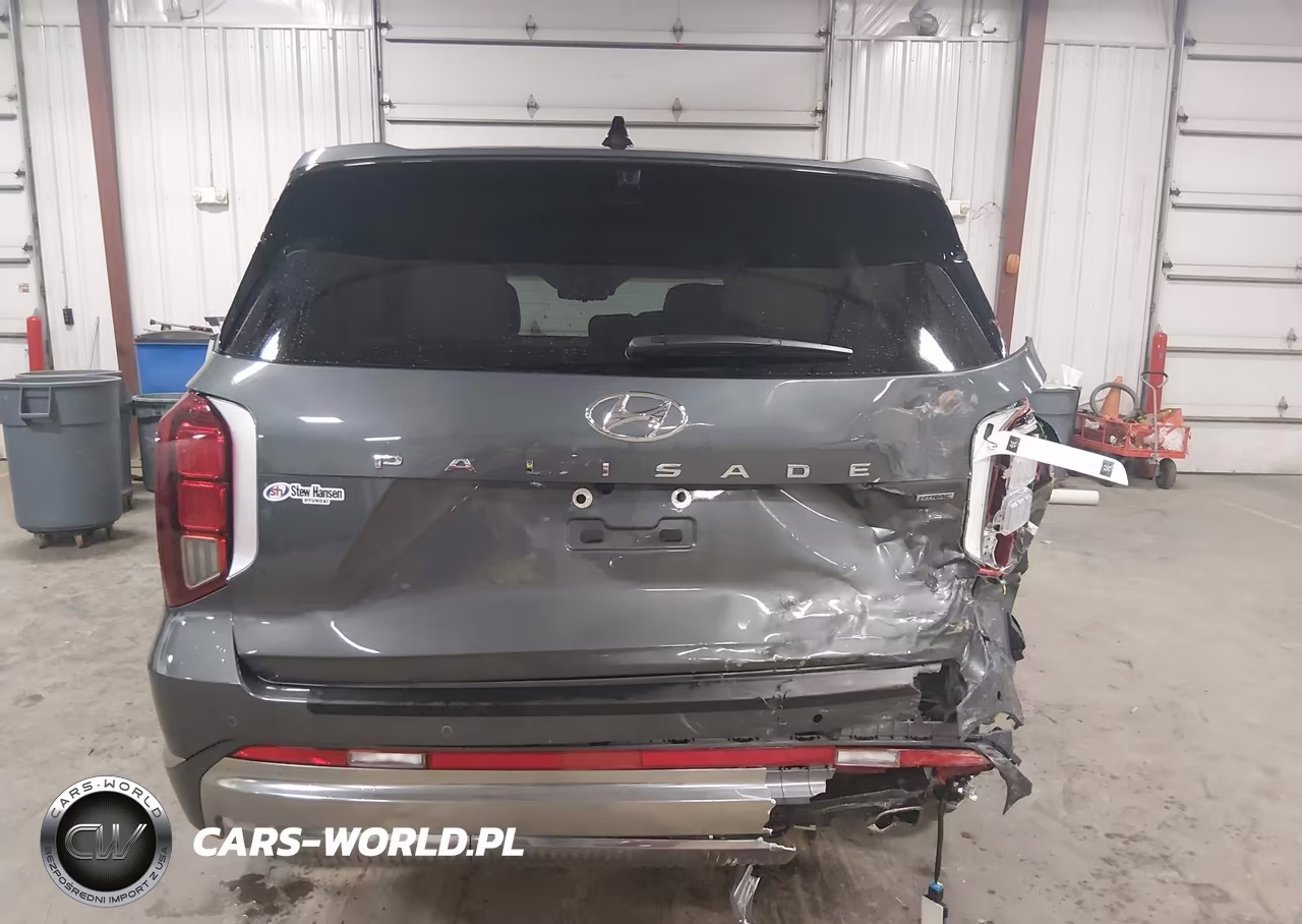 2025 Hyundai Palisade Calligraphy VIN:KM8R7DGE1SU928452 - 6