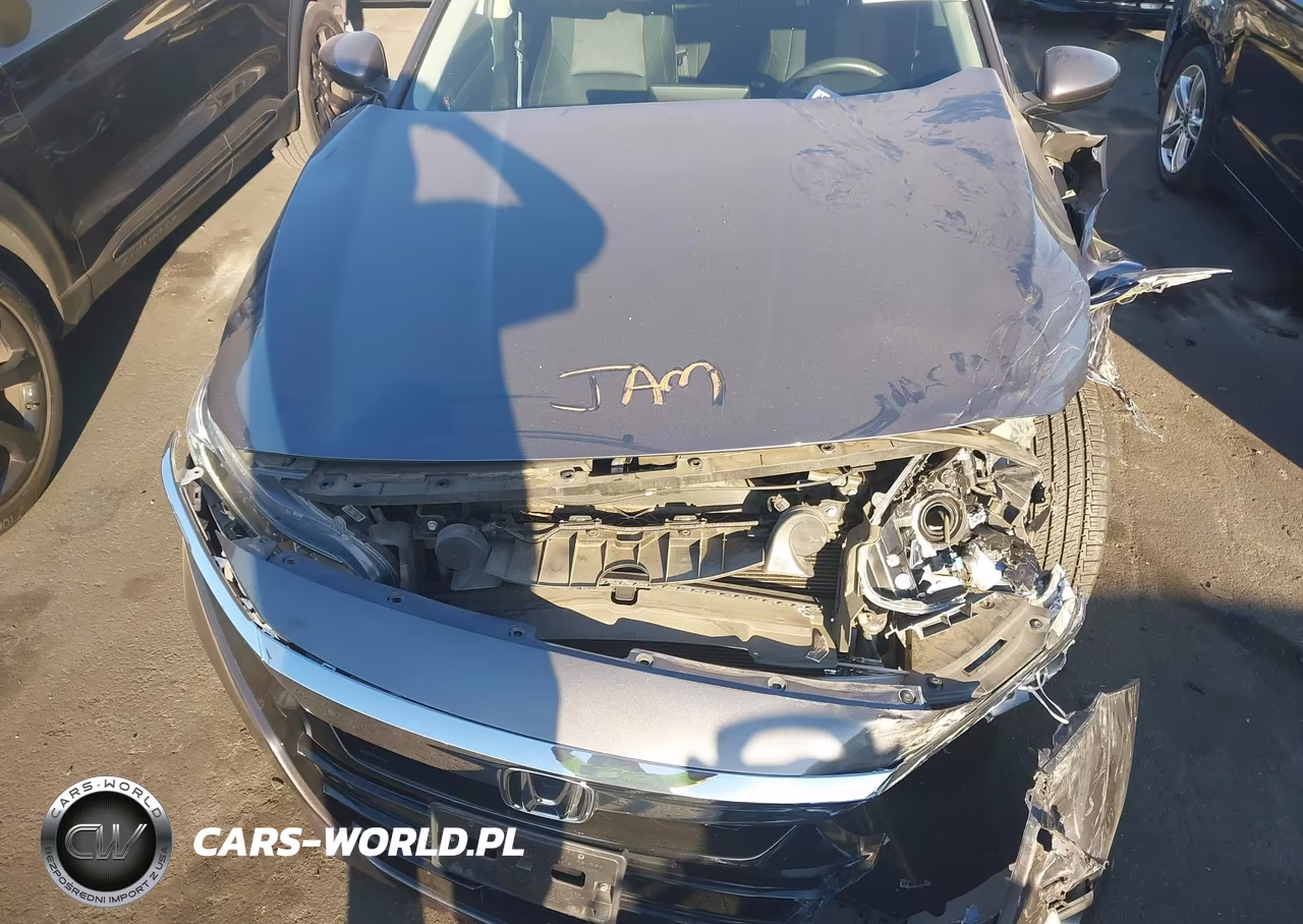 2019 Honda Accord Lx VIN:1HGCV1F12KA053799 - 10