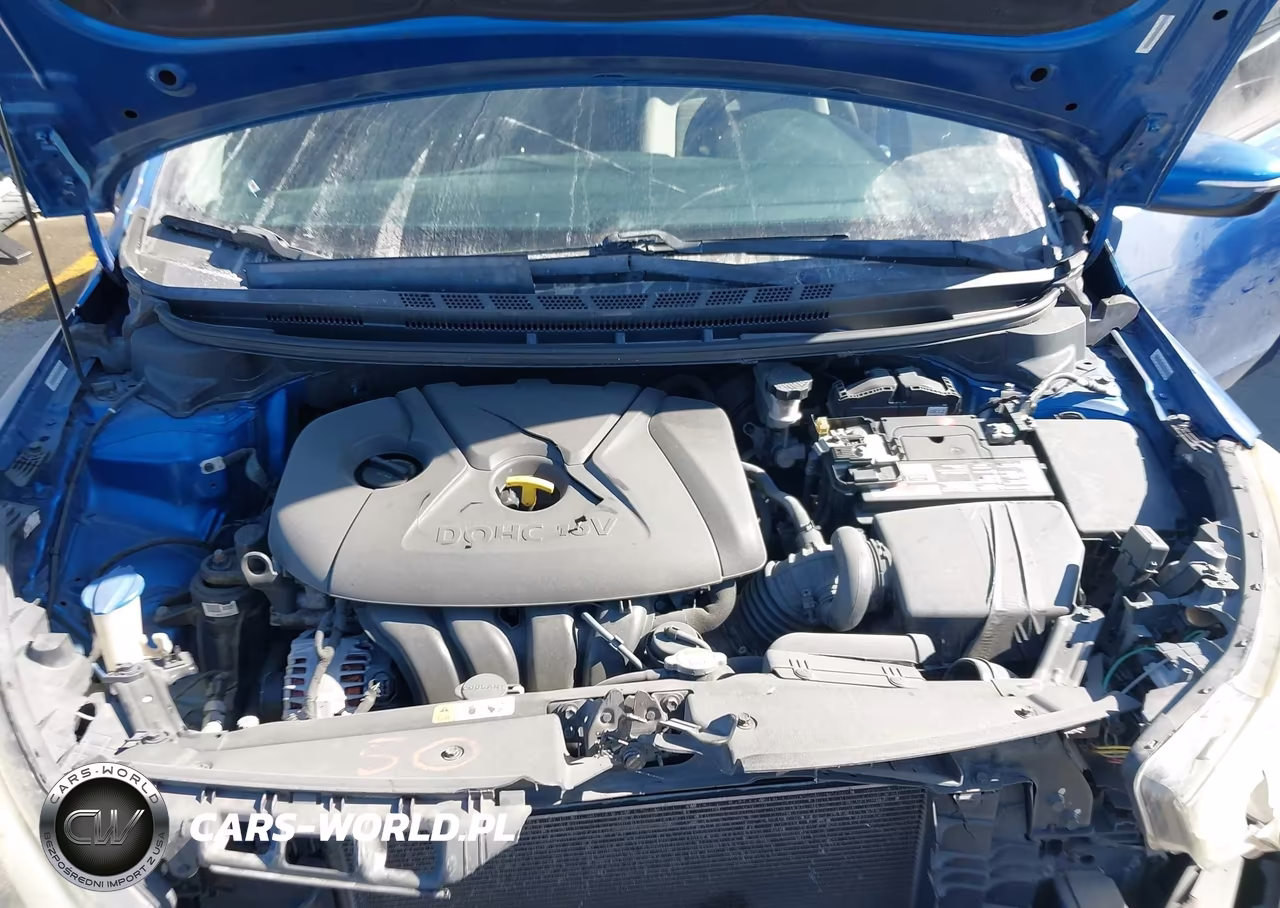 2014 Kia Forte Lx VIN:KNAFX4A60E5161164 - 10