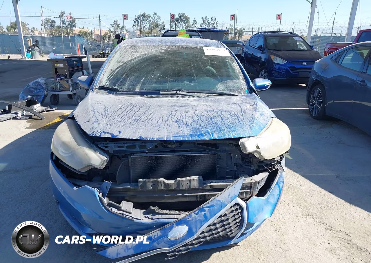 2014 Kia Forte Lx VIN:KNAFX4A60E5161164 - 12