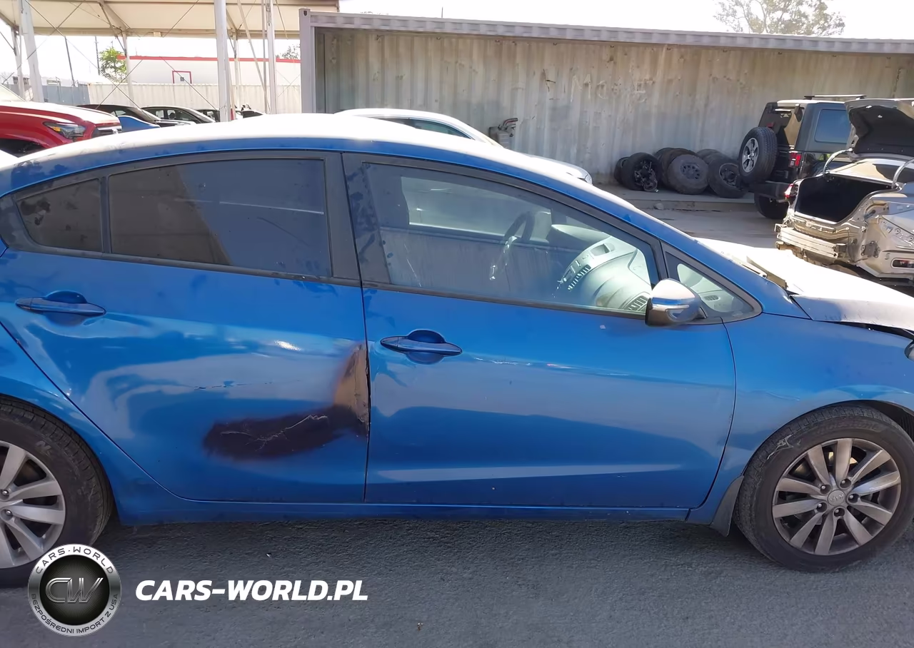 2014 Kia Forte Lx VIN:KNAFX4A60E5161164 - 13