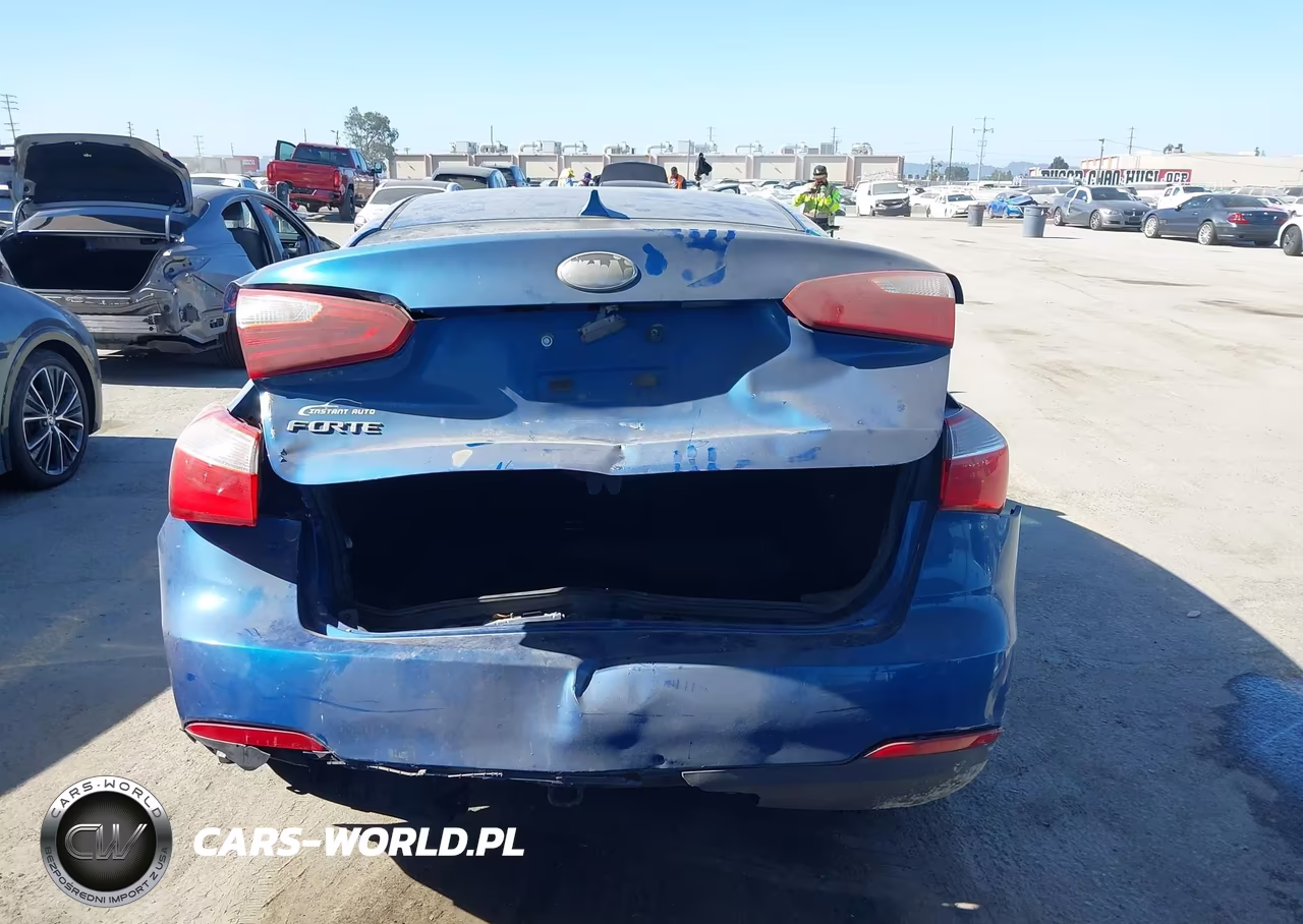 2014 Kia Forte Lx VIN:KNAFX4A60E5161164 - 16