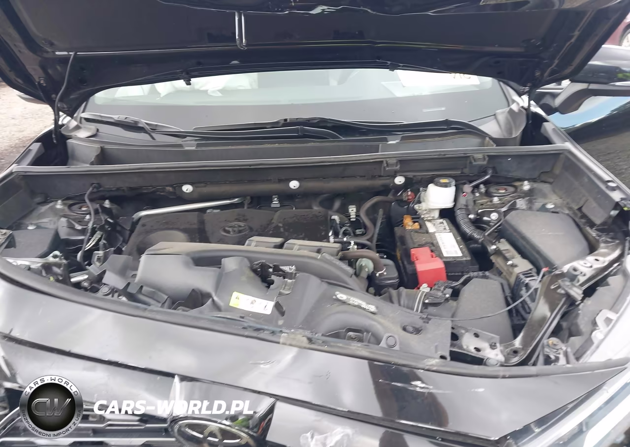 2019 Toyota Rav4 Limited VIN:2T3Y1RFV5KW020945 - 10