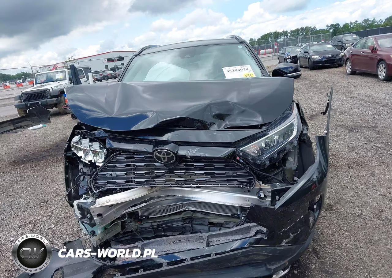 2019 Toyota Rav4 Limited VIN:2T3Y1RFV5KW020945 - 12