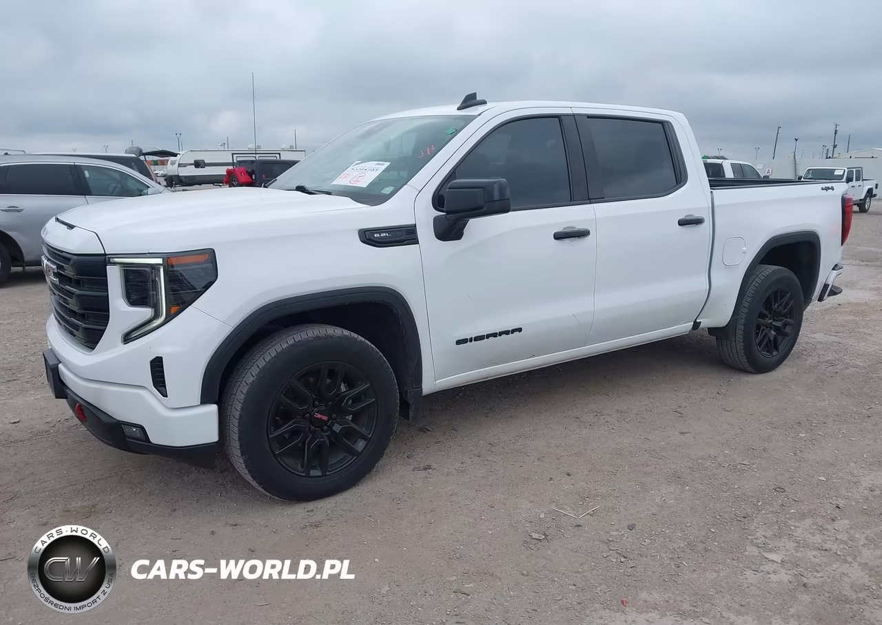 2023 GMC Sierra 1500 4Wd Short Box Pro VIN:1GTPUAEK9PZ170155 - 2